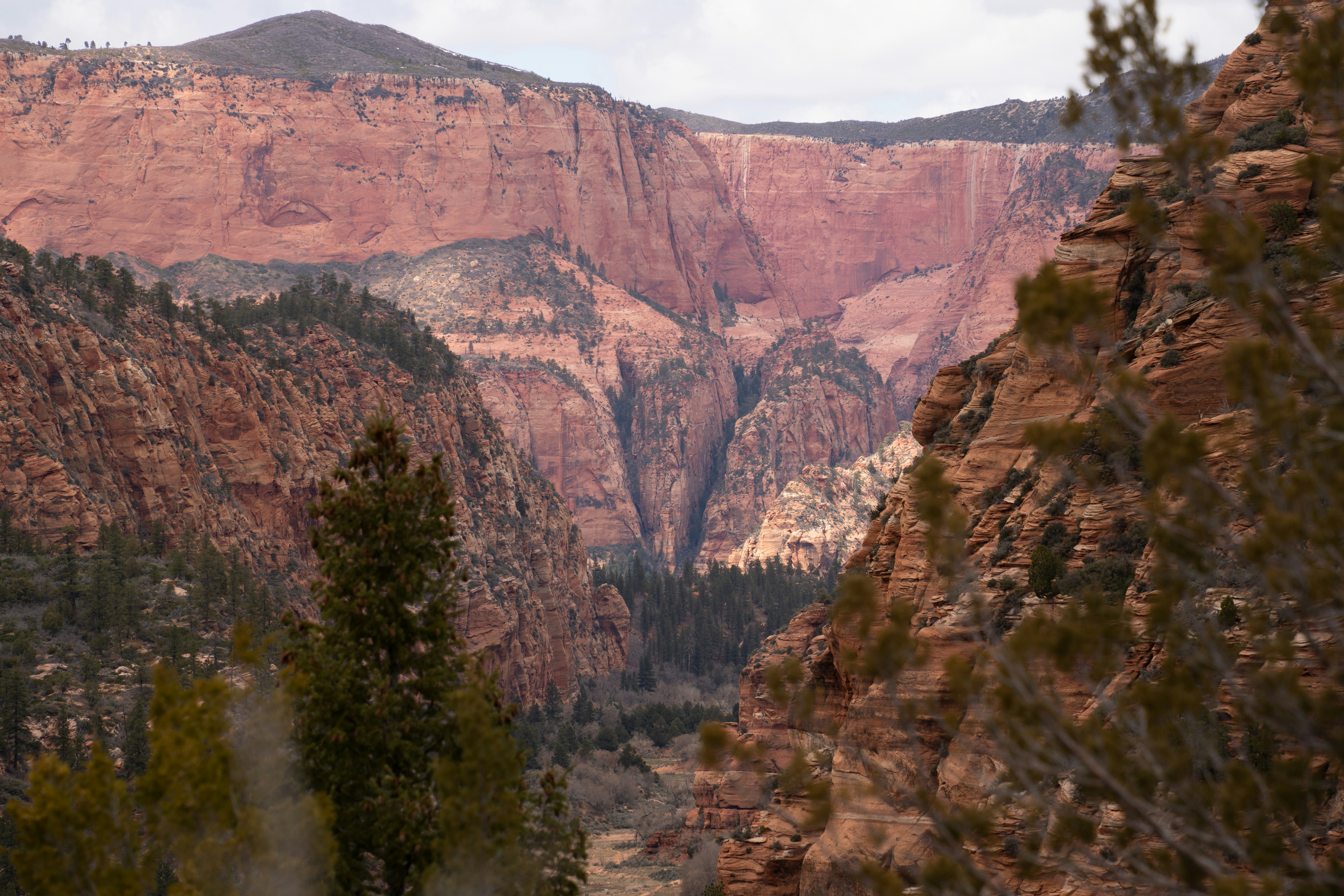 Photo by alexmoliski