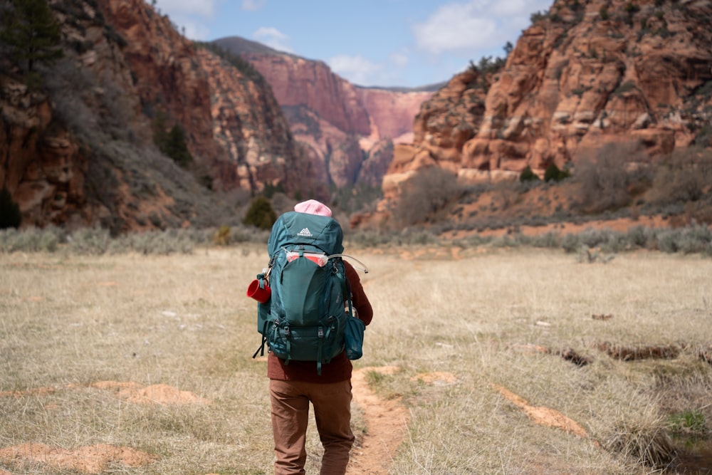 a person with a backpack walking in a field