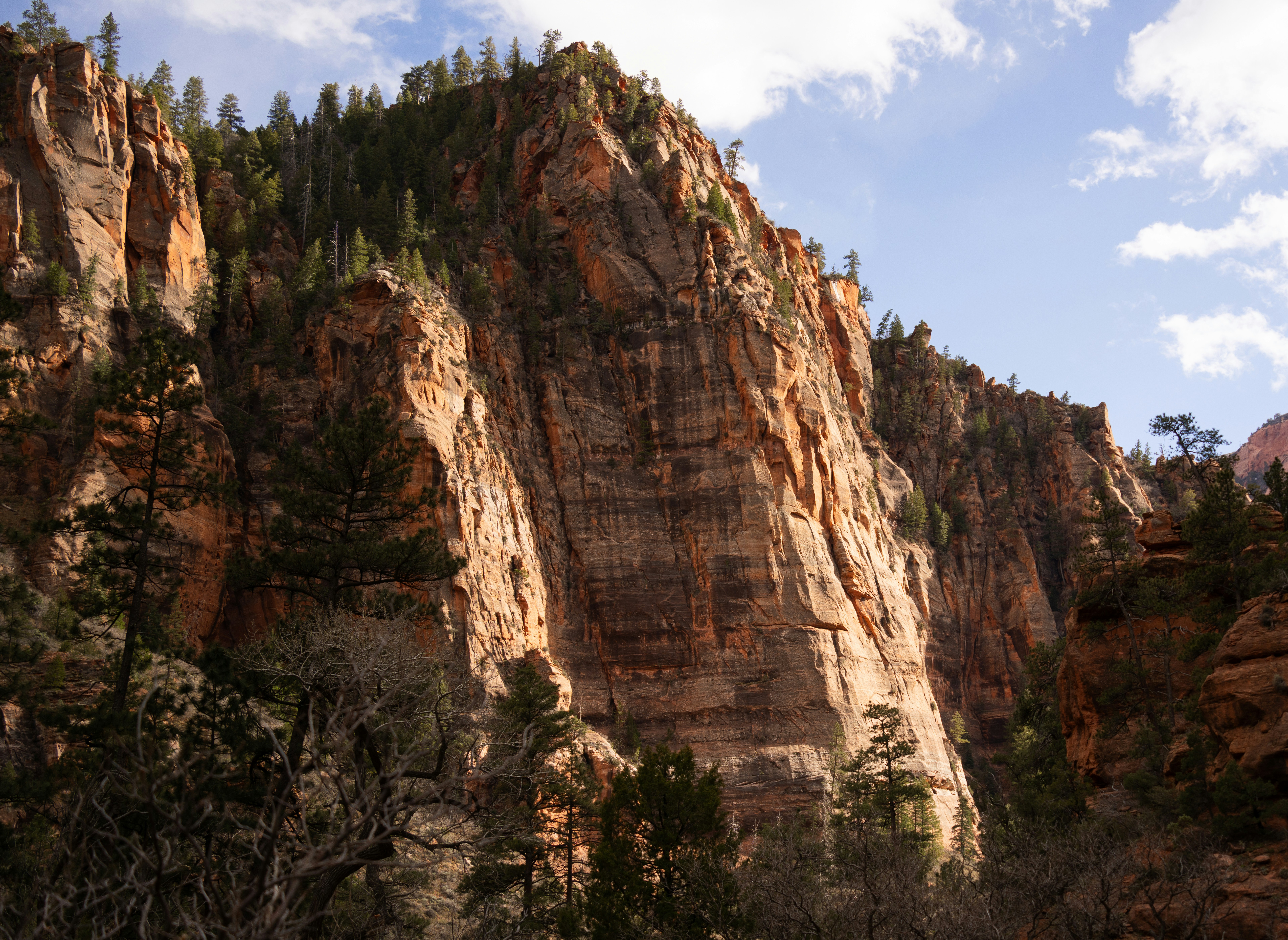 Photo by alexmoliski