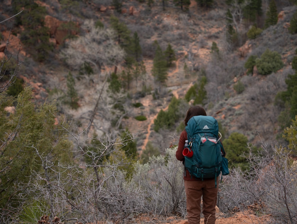 a person with a backpack walking through the woods