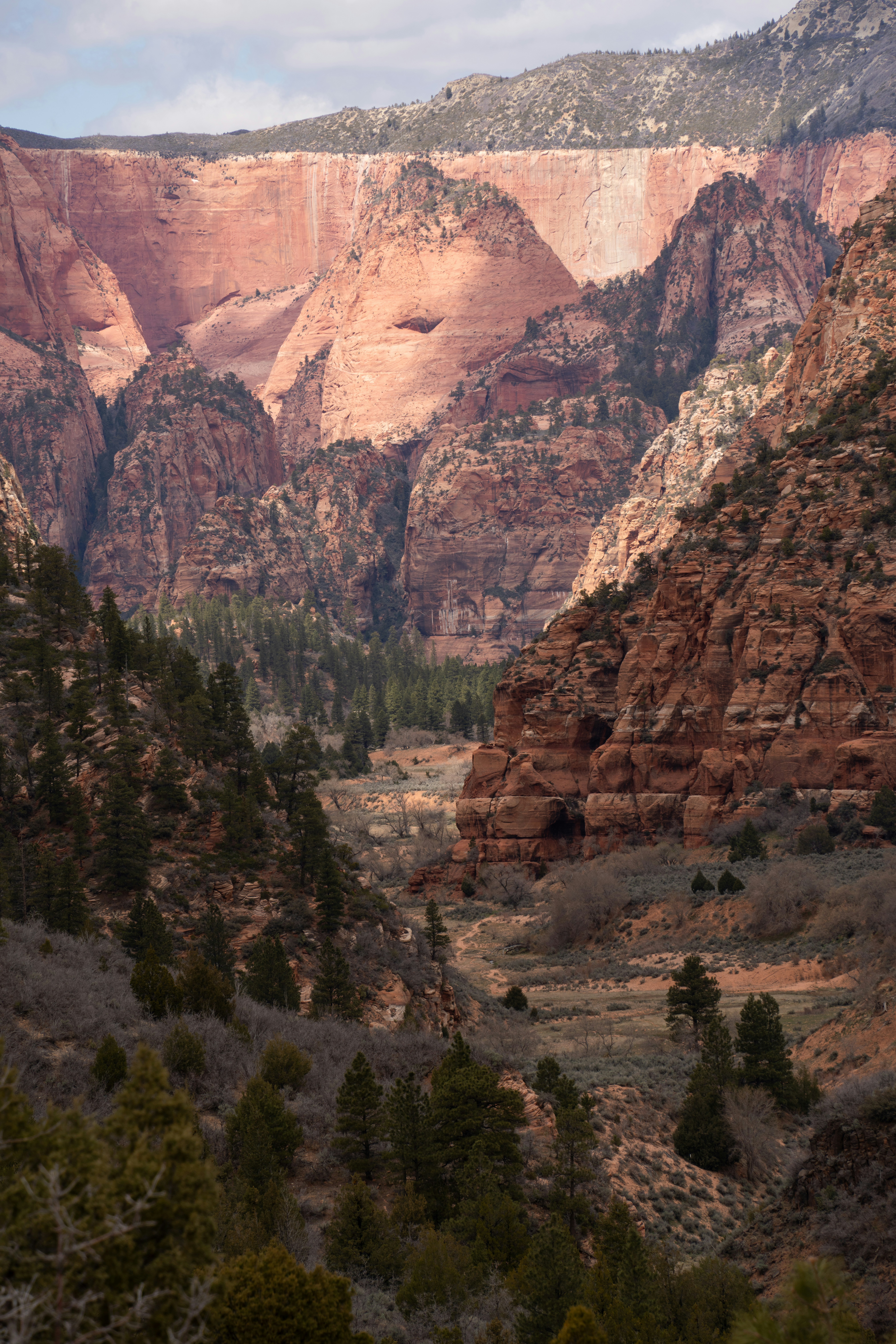 Photo by alexmoliski