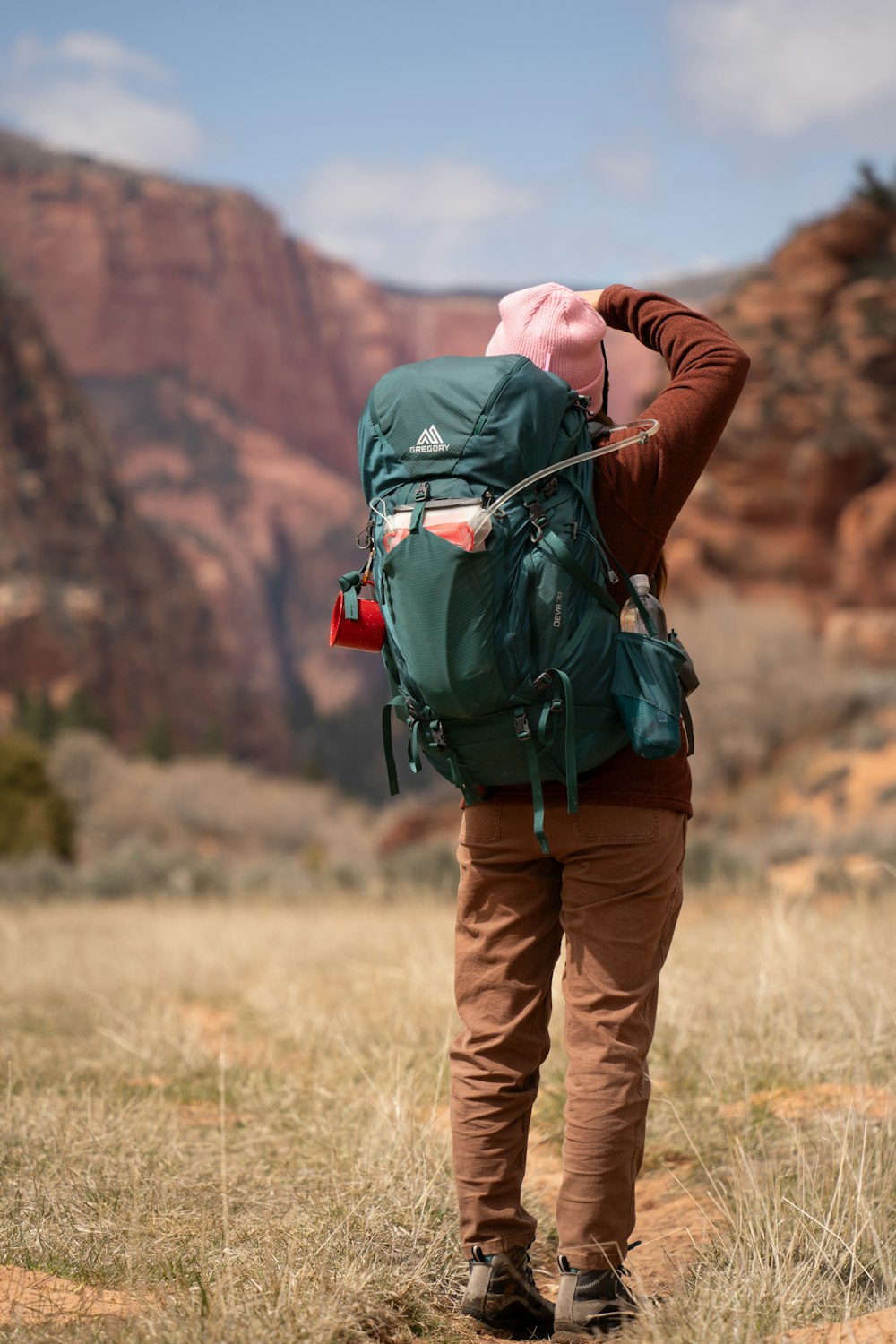 a person with a backpack standing in a field