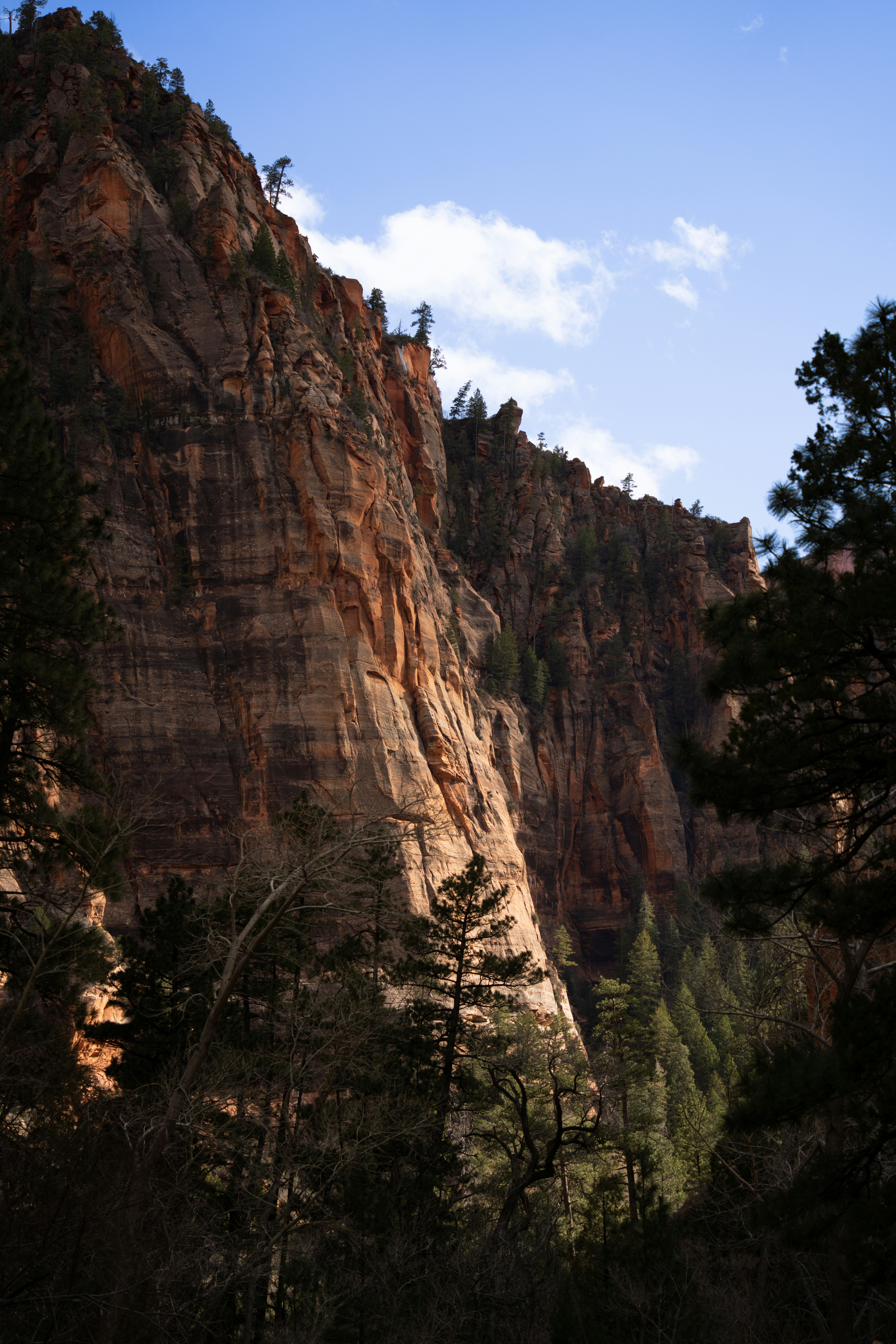 Photo by alexmoliski