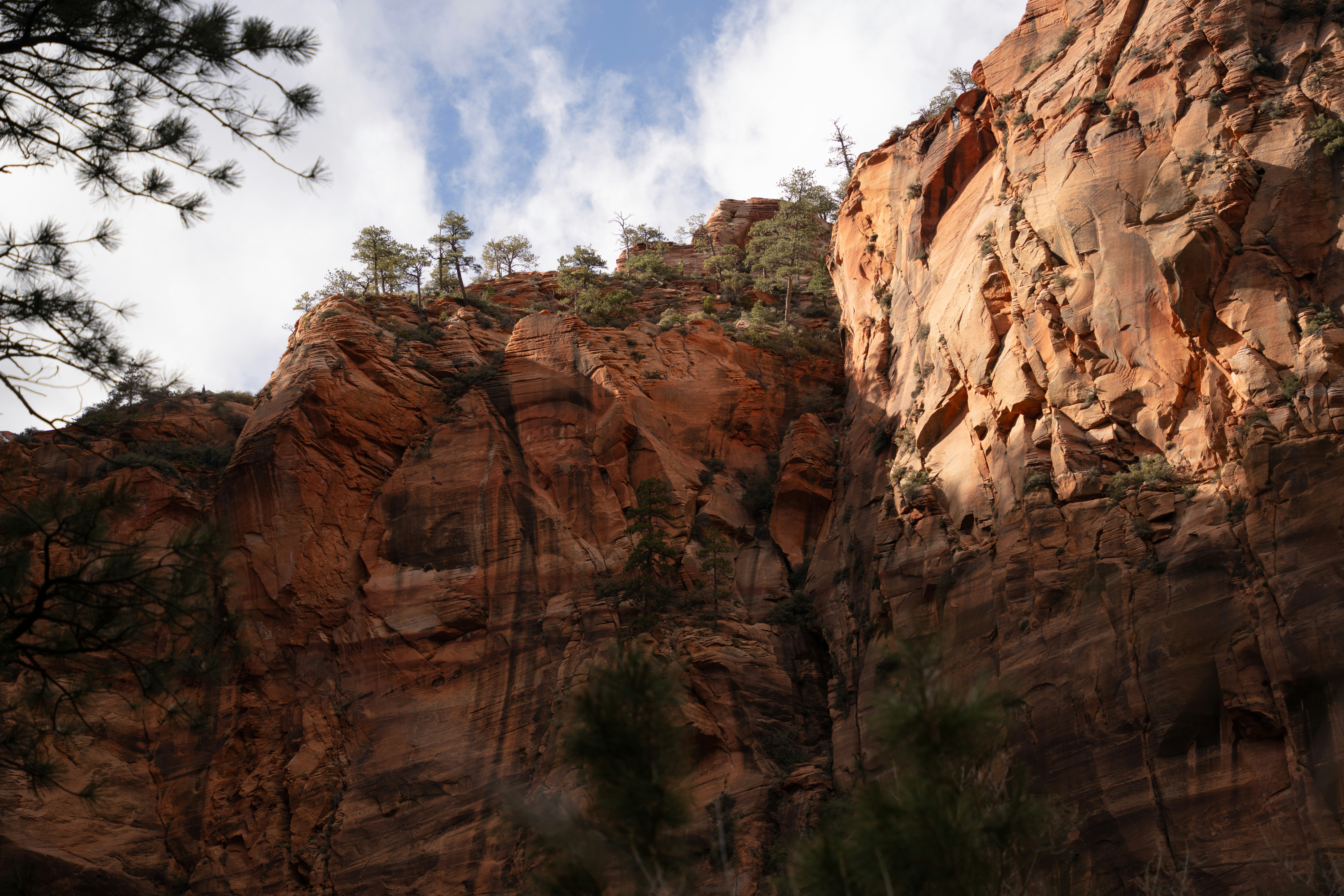 Photo by alexmoliski