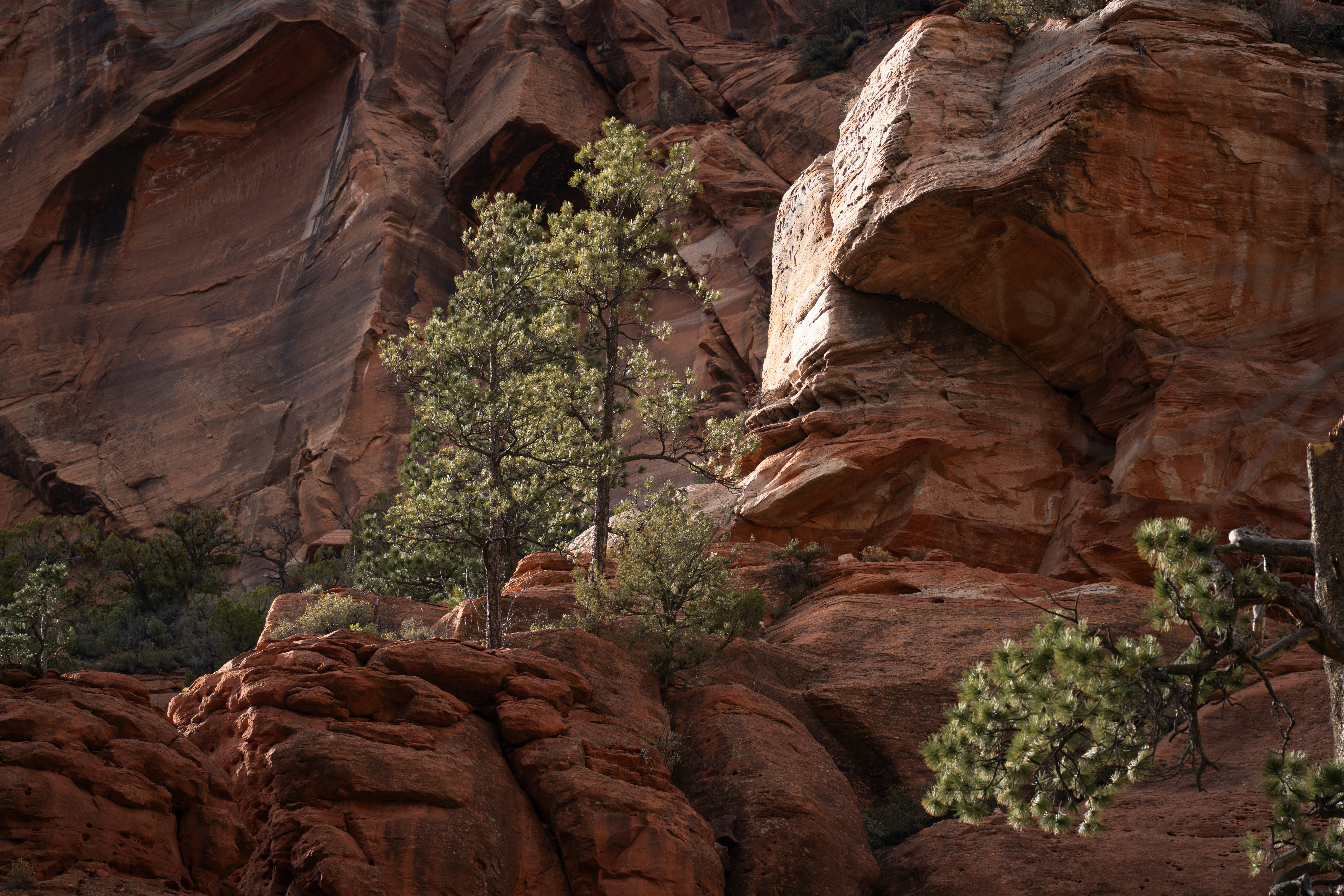 Photo by alexmoliski