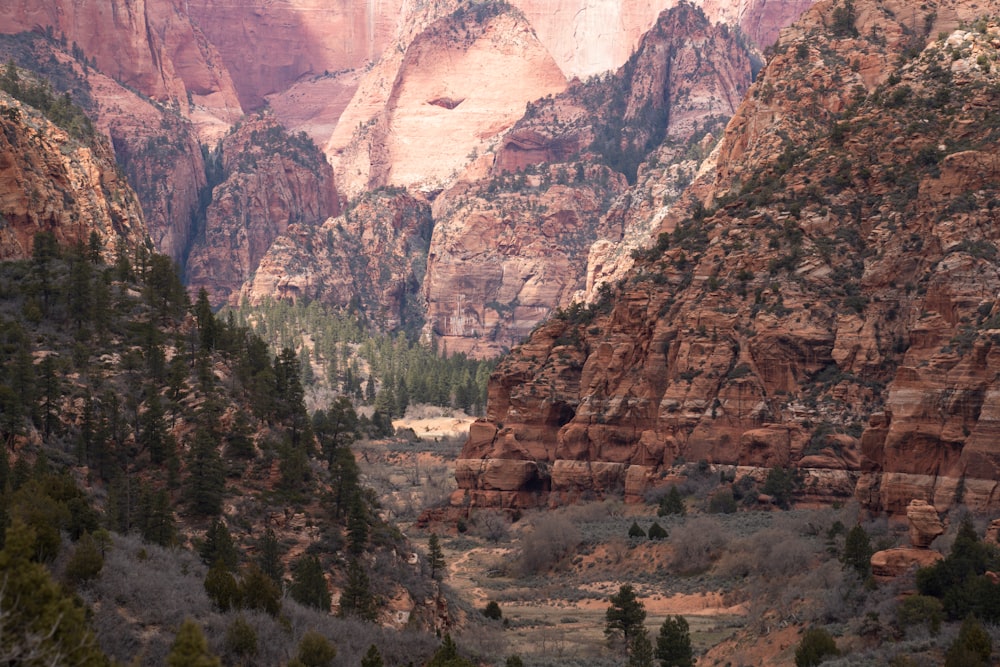 a view of a mountain range with trees in the foreground