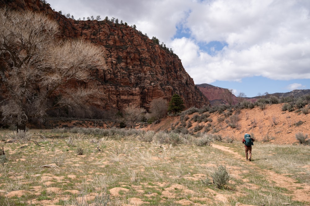 a person walking through a field with a mountain in the background