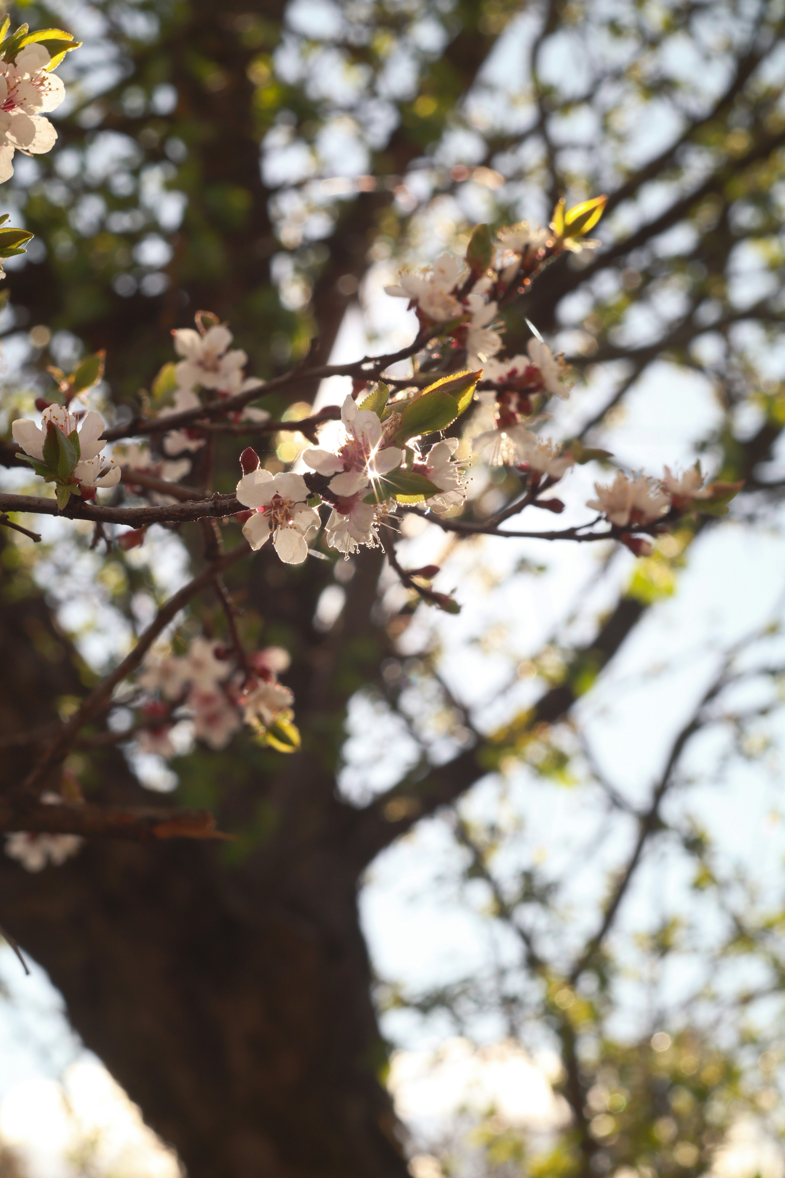 Photo by feeling_hope