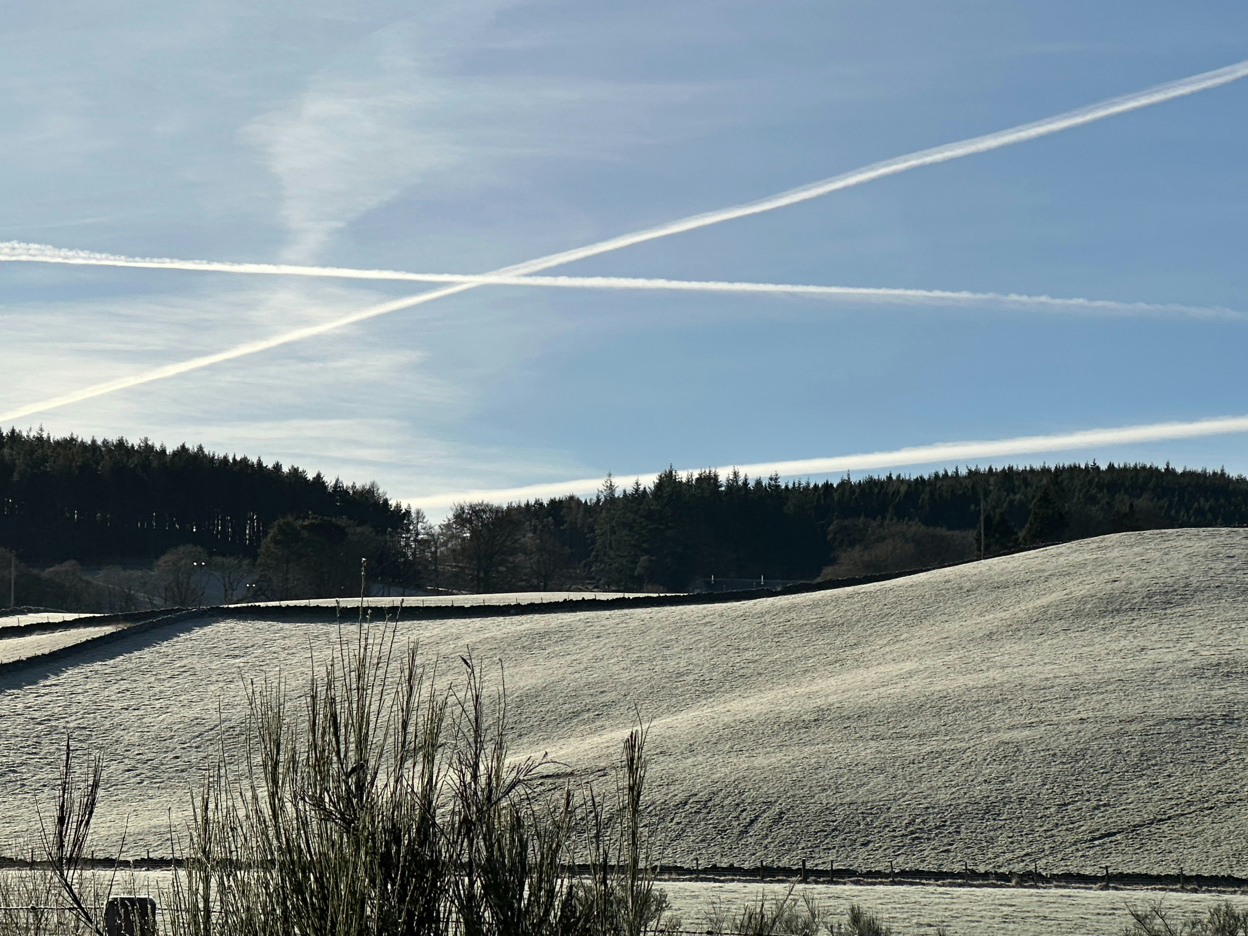 a snow covered field with trees in the background