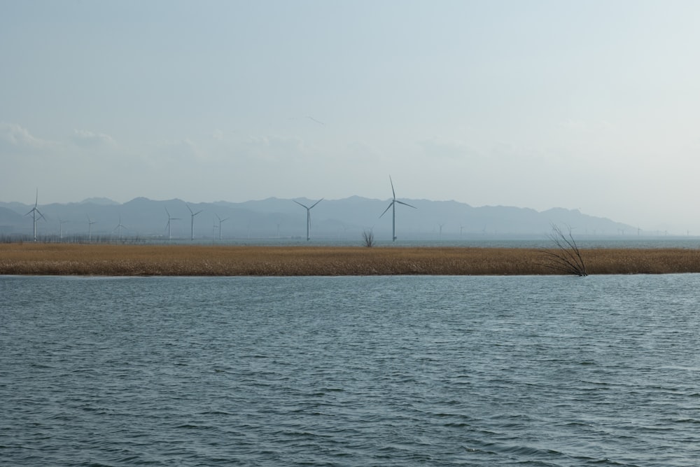 a large body of water with wind mills in the background