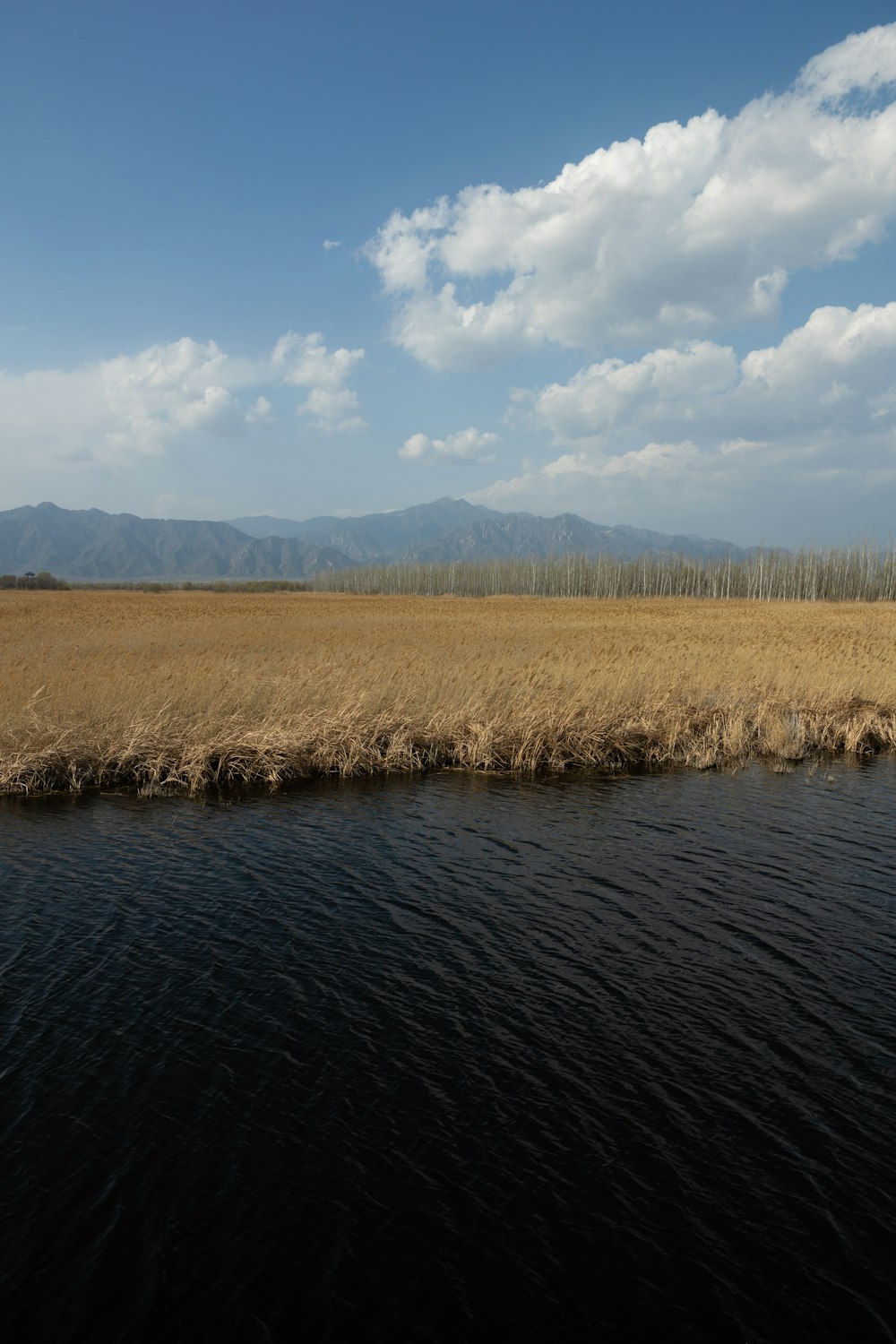a body of water surrounded by dry grass