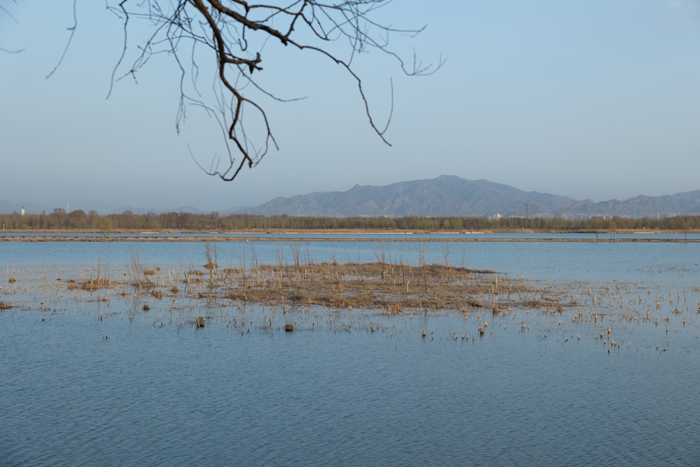 a large body of water with a small island in the middle of it