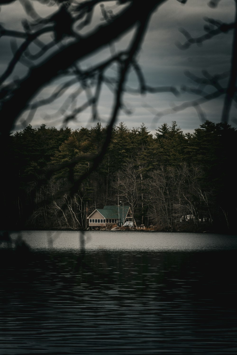 a house sitting on top of a lake next to a forest