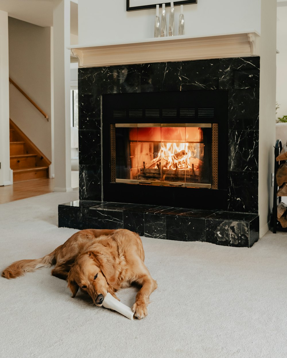 a dog laying on the floor in front of a fireplace