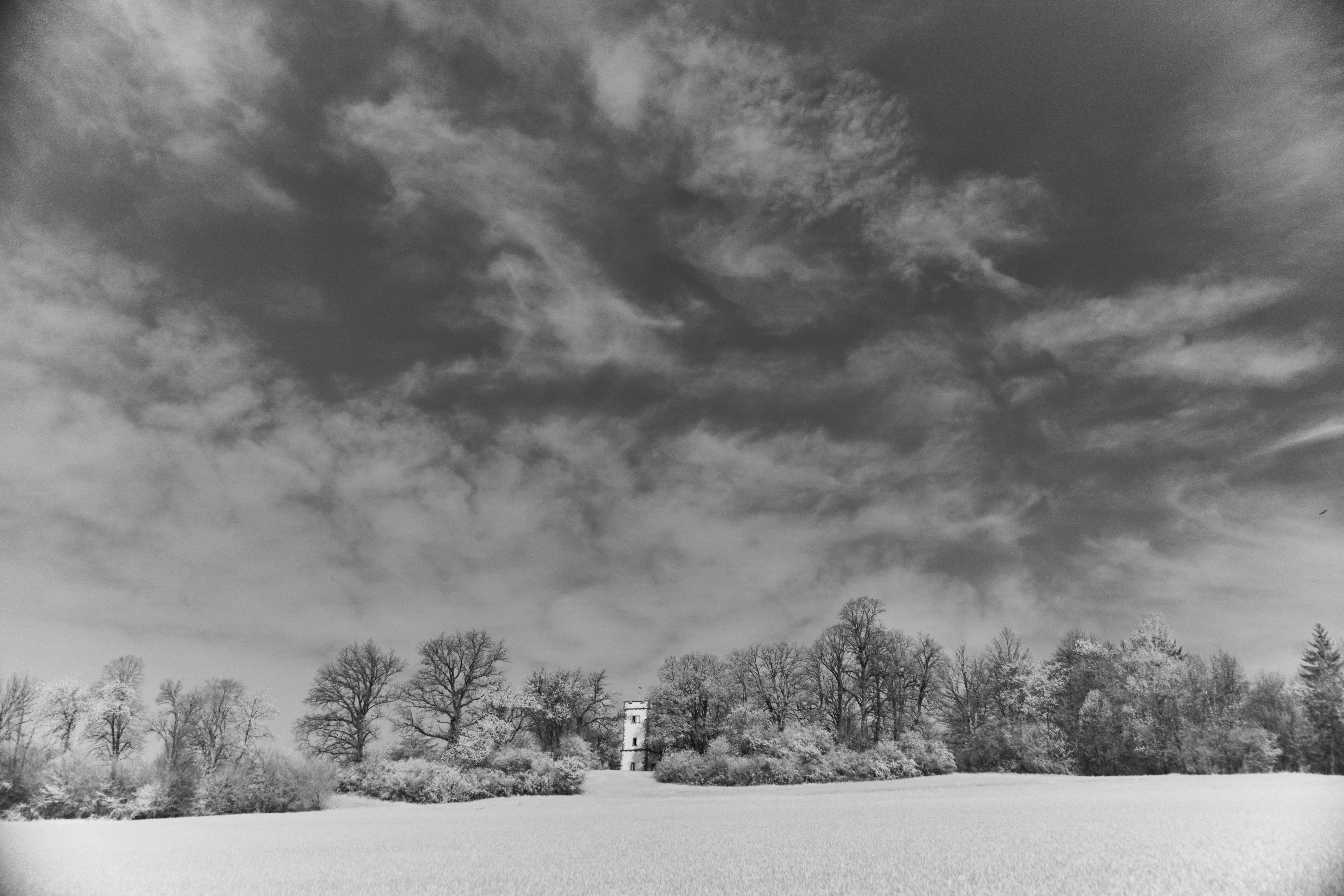 Photo by wolfgang_hasselmann