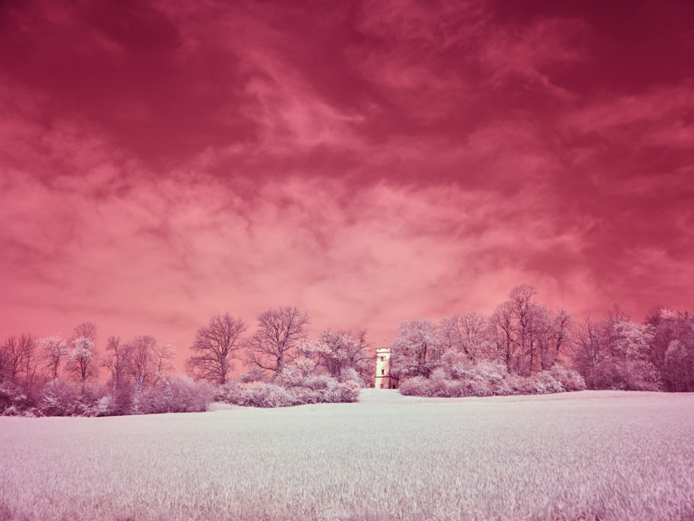 a field with trees and a red sky in the background