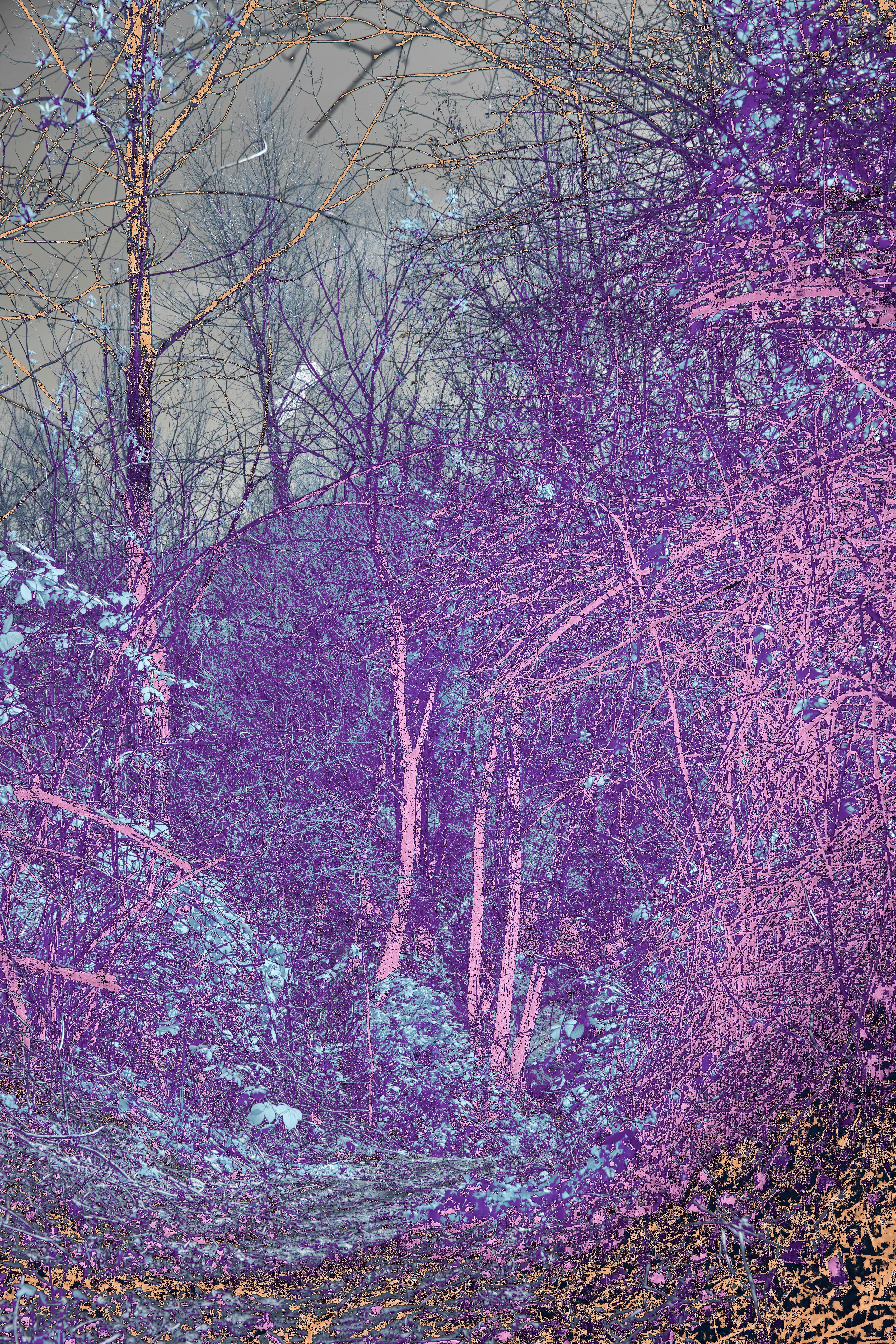 Photo by wolfgang_hasselmann