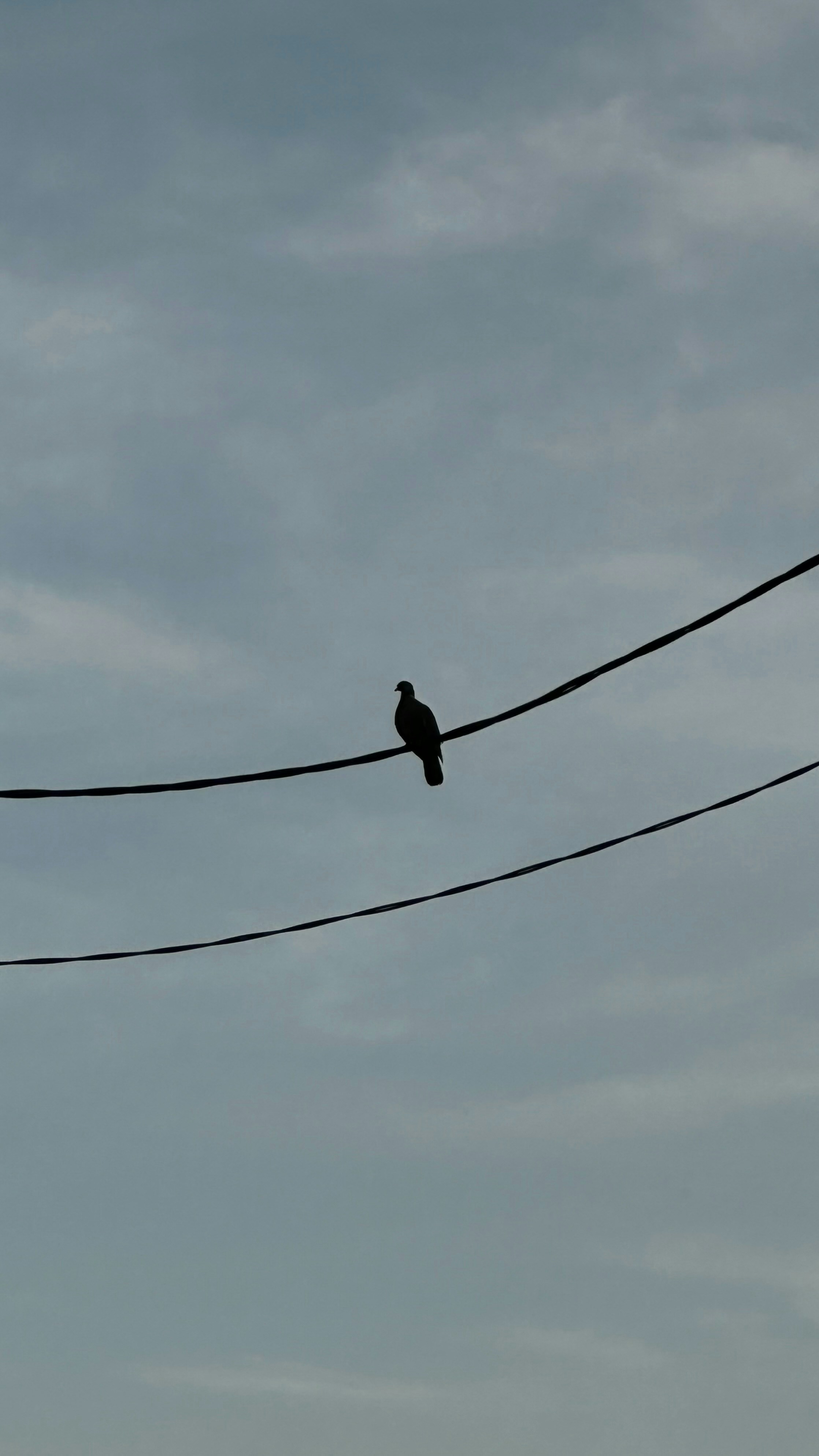 Photo by rewrite_thestars