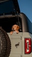 dog transportation emotional support animals