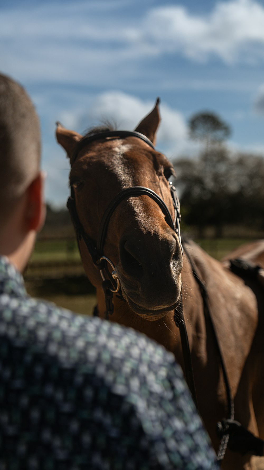 a man standing next to a brown horse