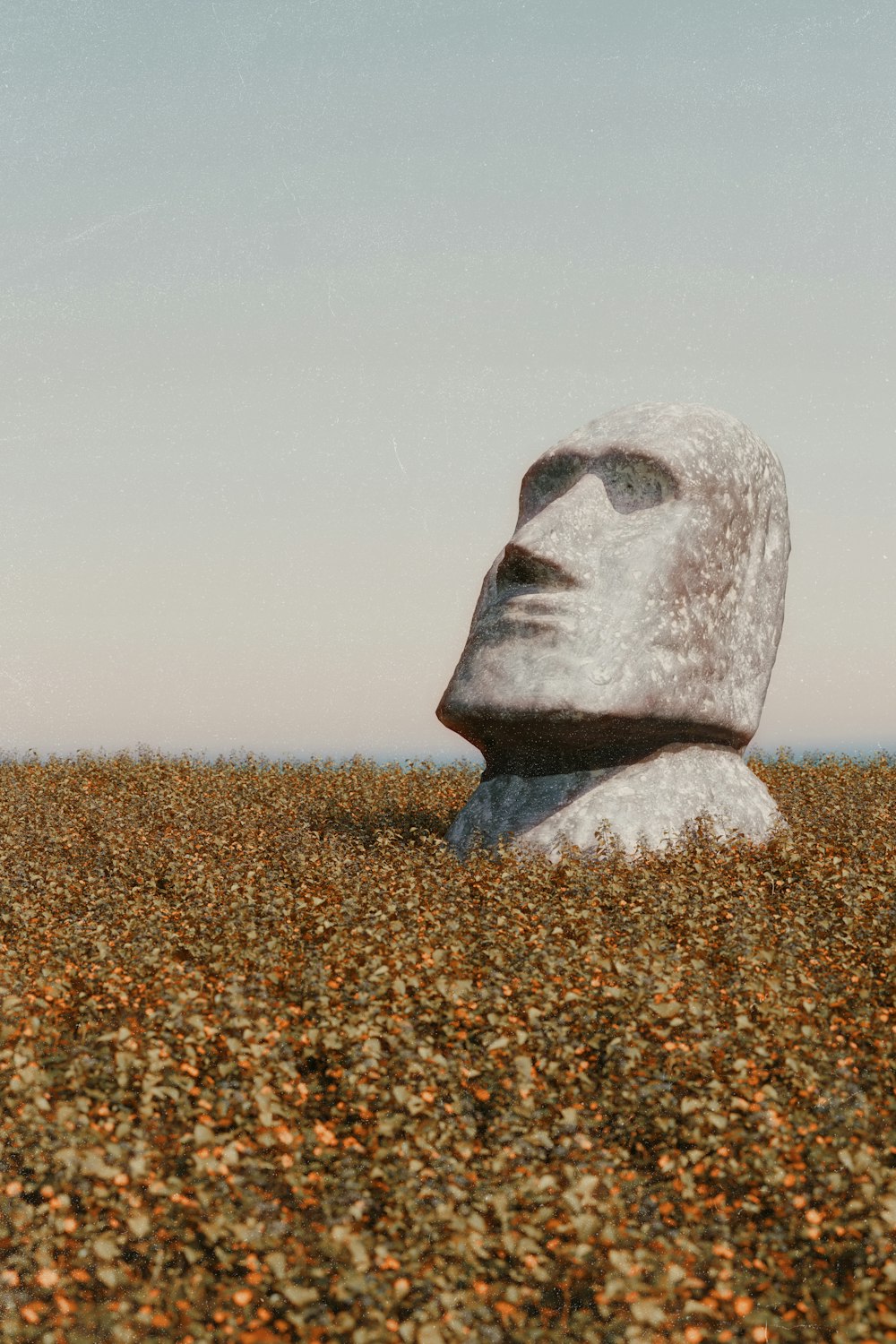 uma grande estátua de um homem em um campo de flores