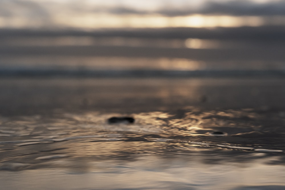 a close up of the water on a beach