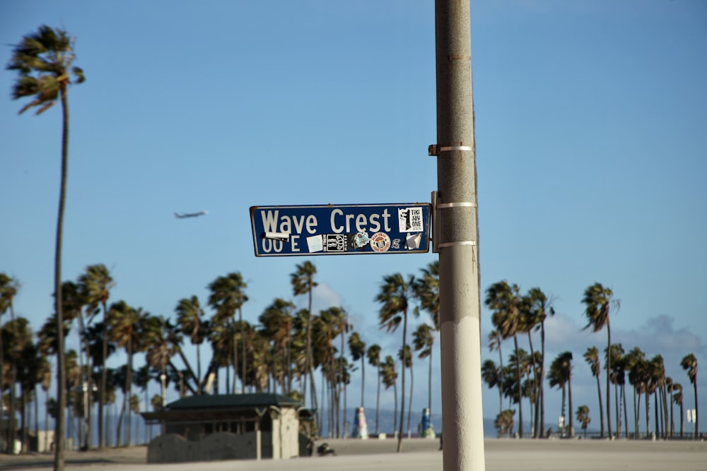 a street sign on a pole with palm trees in the background