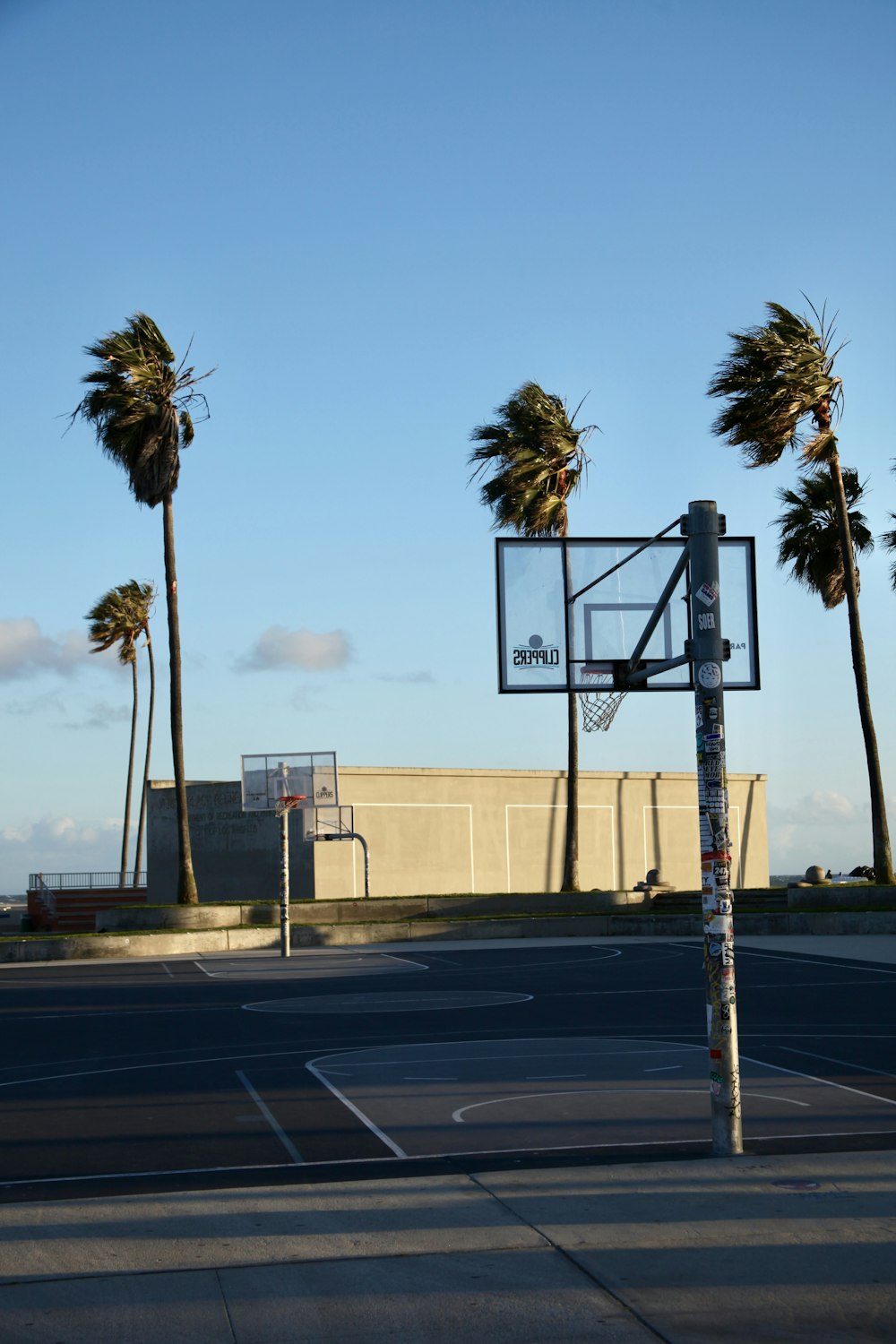 a basketball court with palm trees in the background