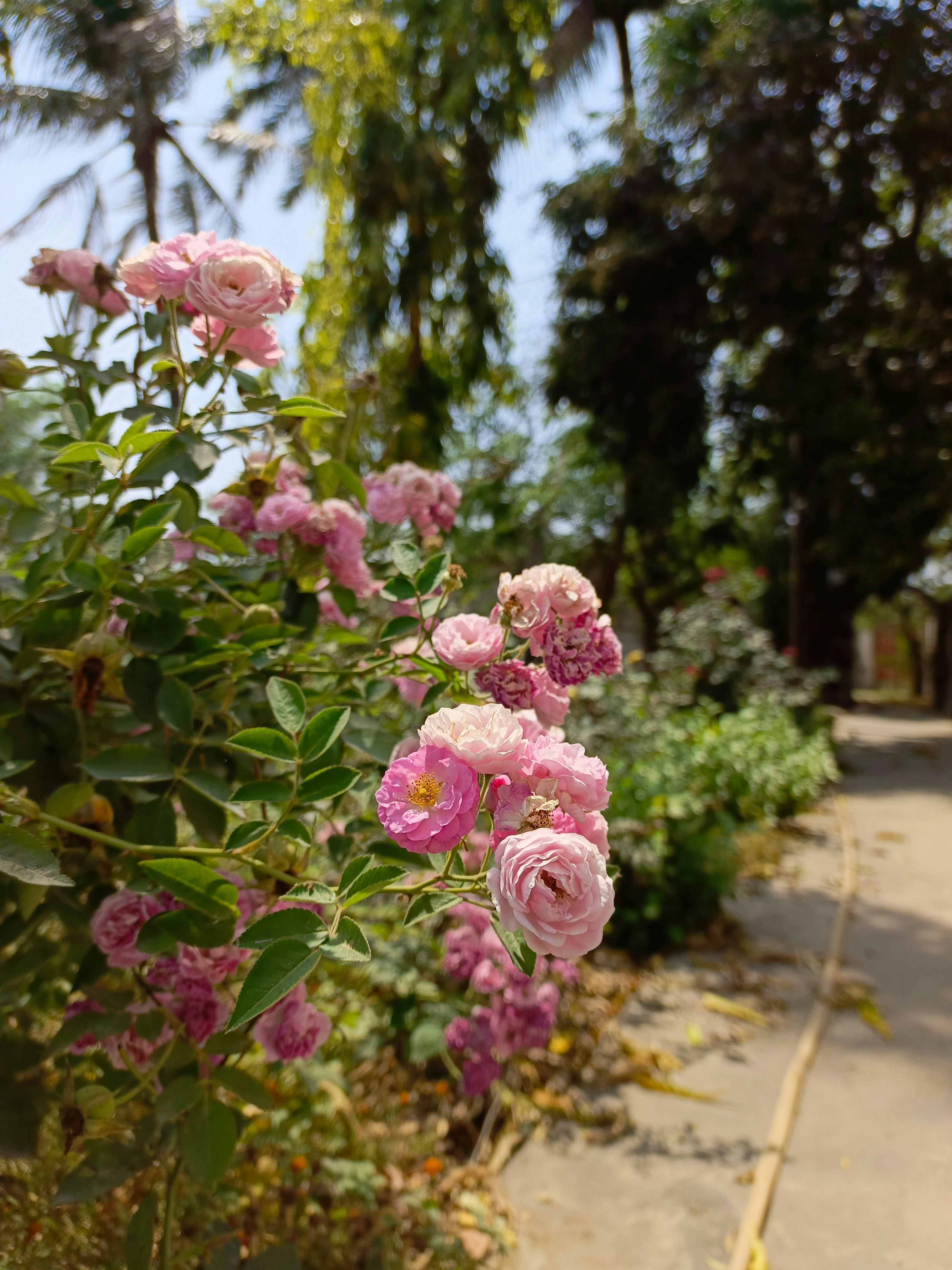 Photo by prasunmishra1