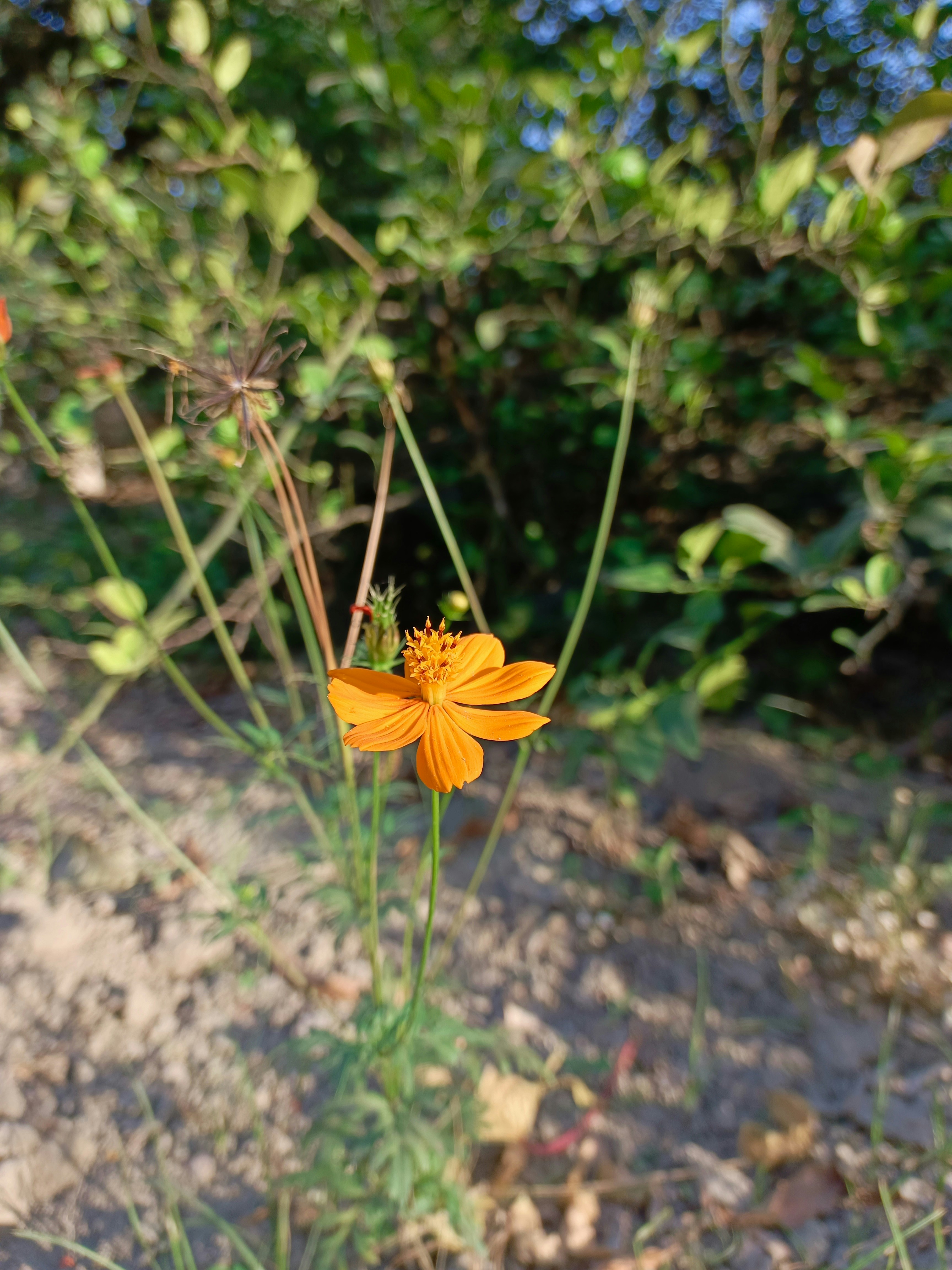 Photo by prasunmishra1