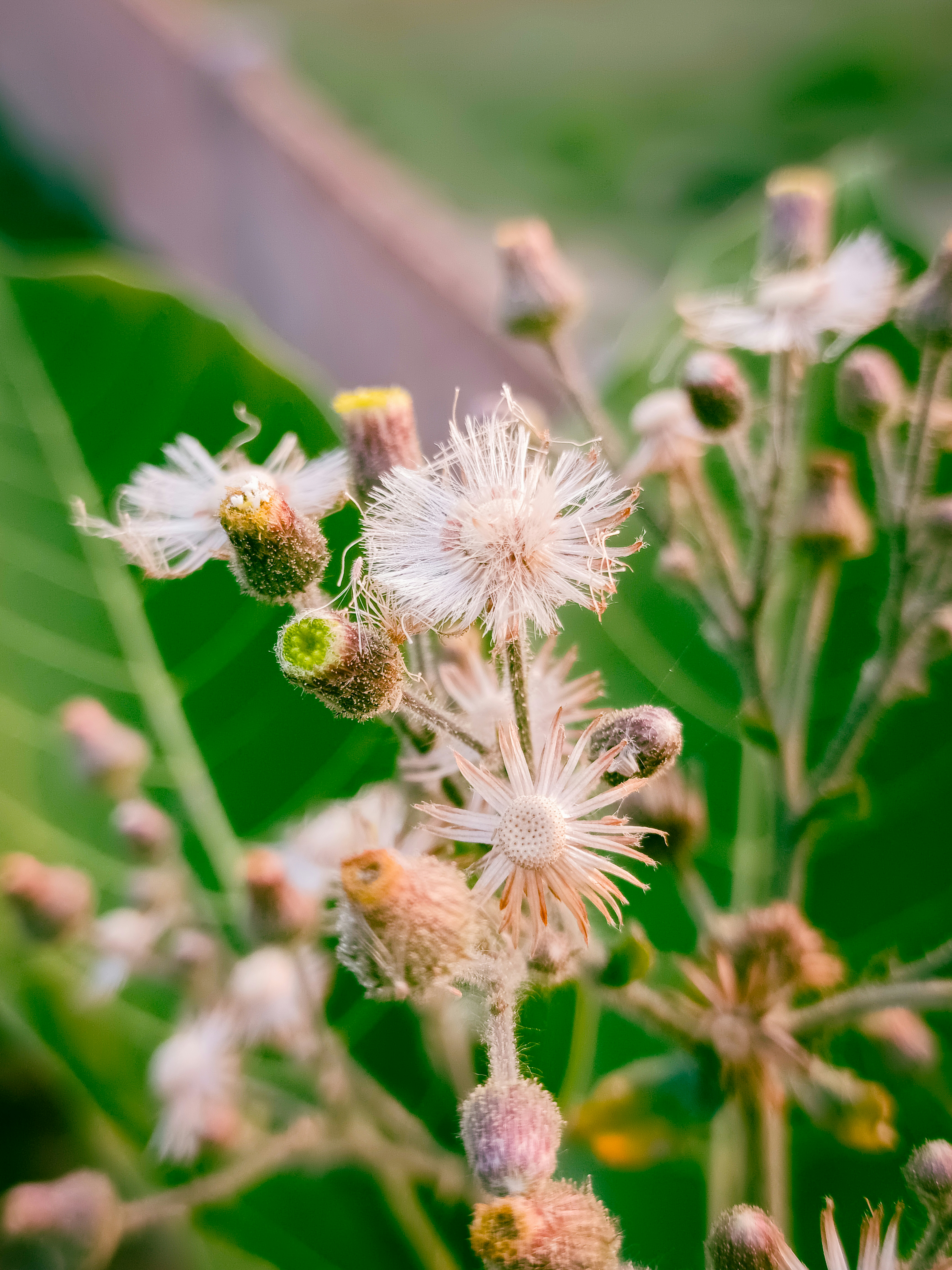 Photo by prasunmishra1