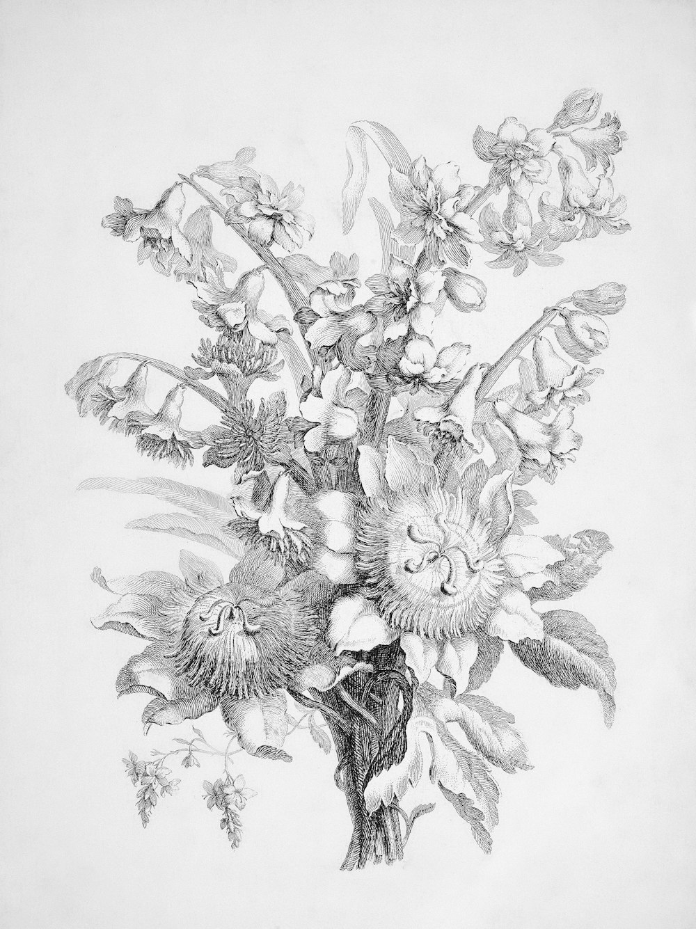 a pencil drawing of a bouquet of flowers