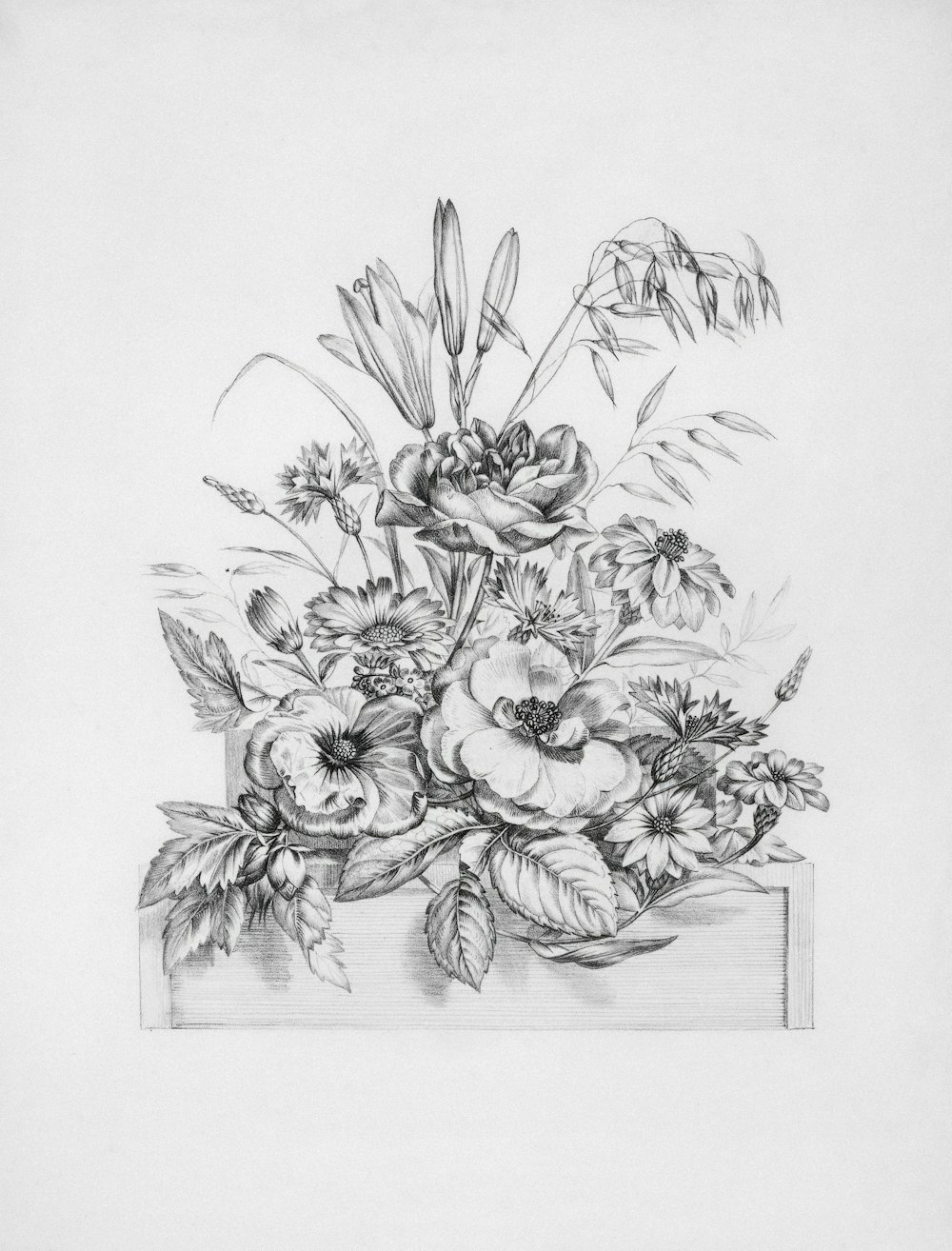 a pencil drawing of a bouquet of flowers