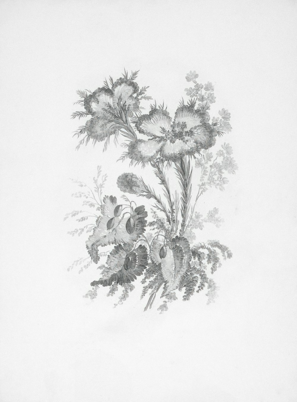 a black and white drawing of flowers on a white background