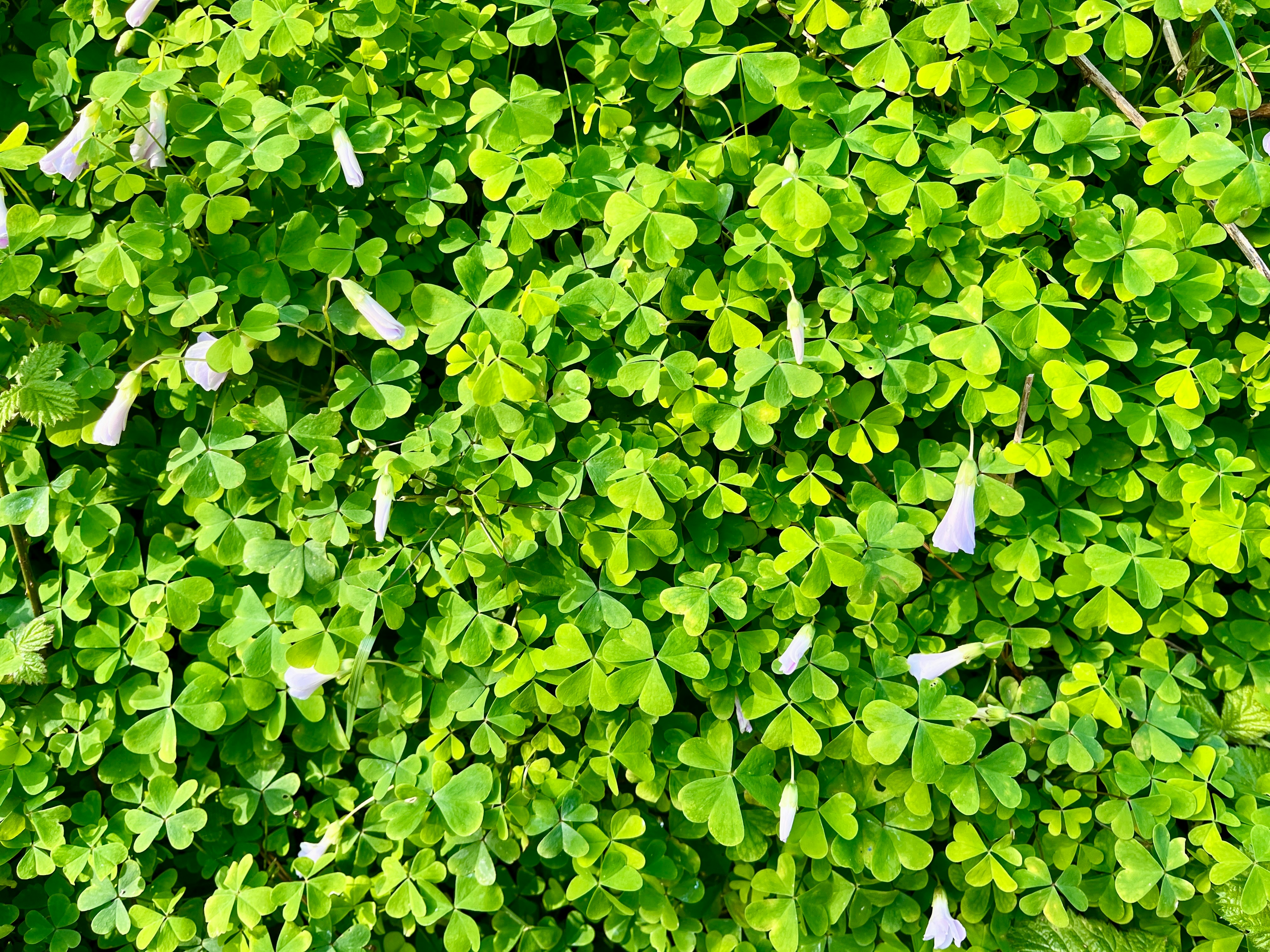 Photo by josh_crosland