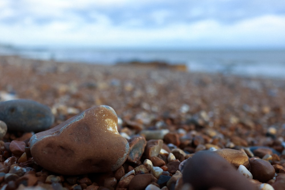 a close up of rocks and gravel on a beach