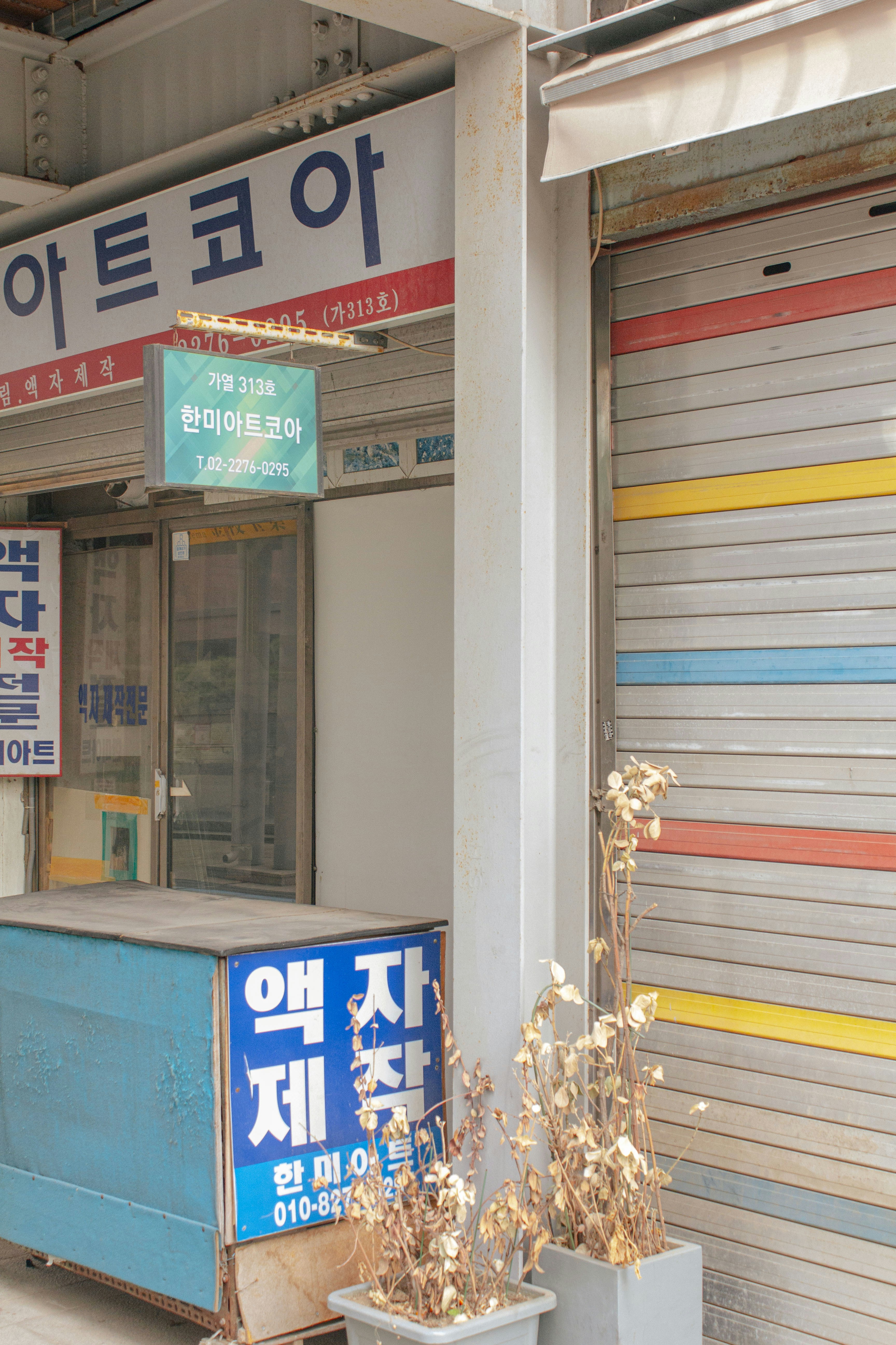 독감예방접종 비용 저렴한곳 대구 관련 이미지2