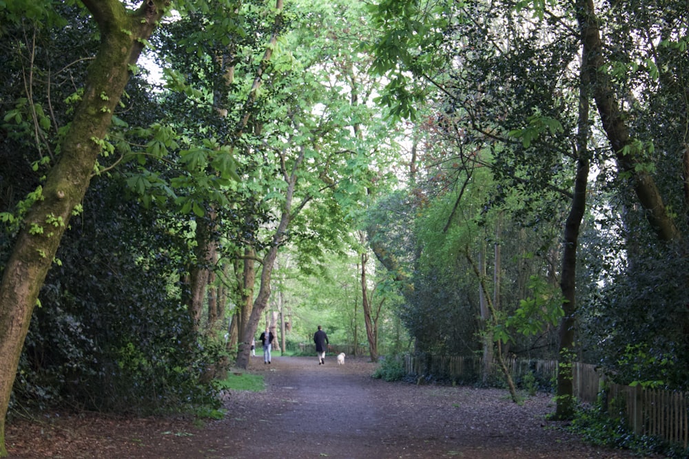 a couple of people walking down a dirt road