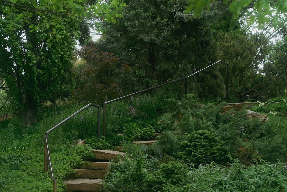 a set of stairs leading up to a lush green hillside
