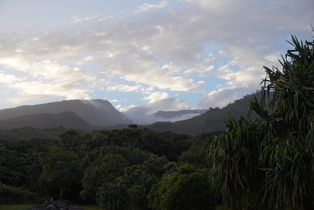 a view of a mountain range with clouds in the sky