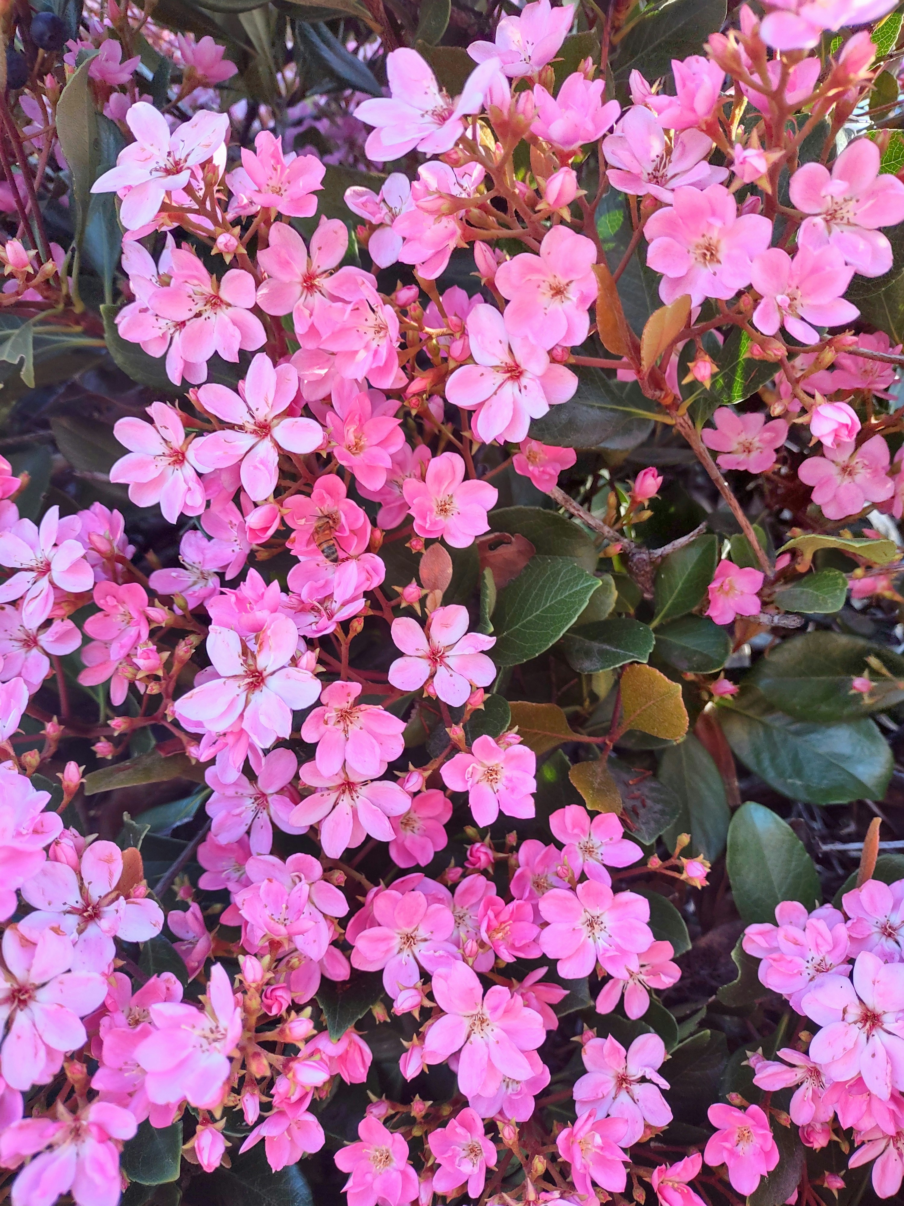 Photo by purenaturenow