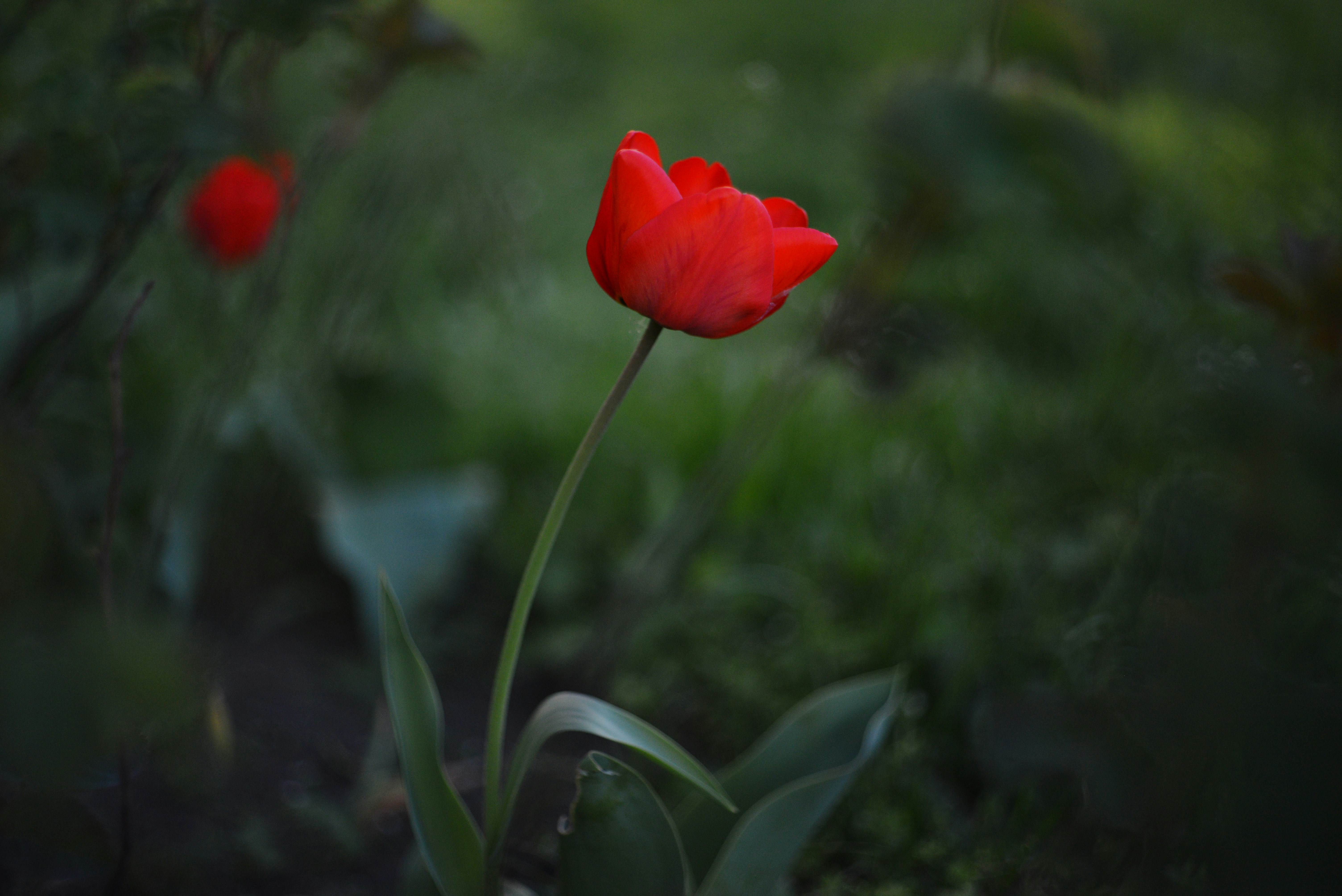 Photo by cherstve_pechivo