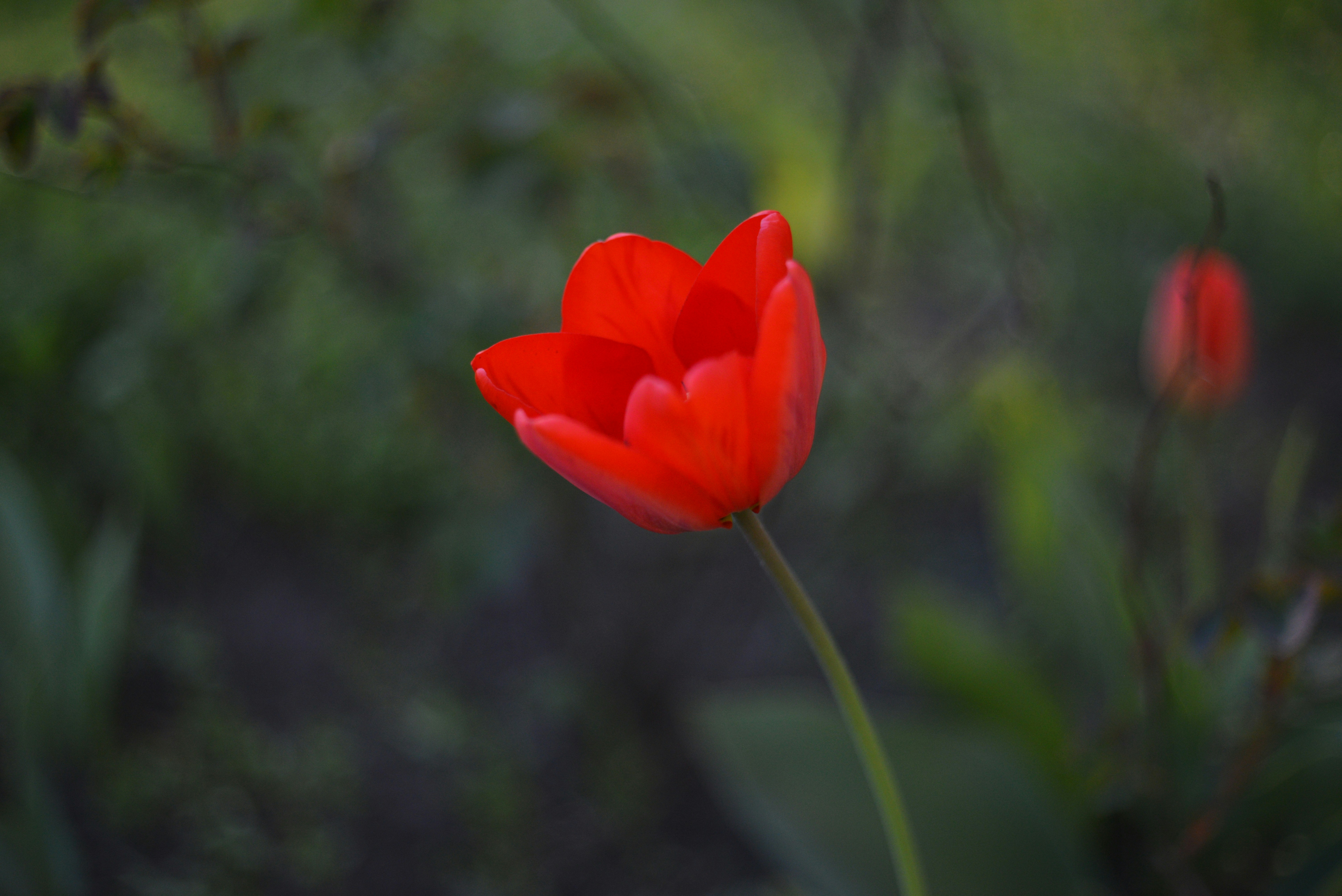 Photo by cherstve_pechivo