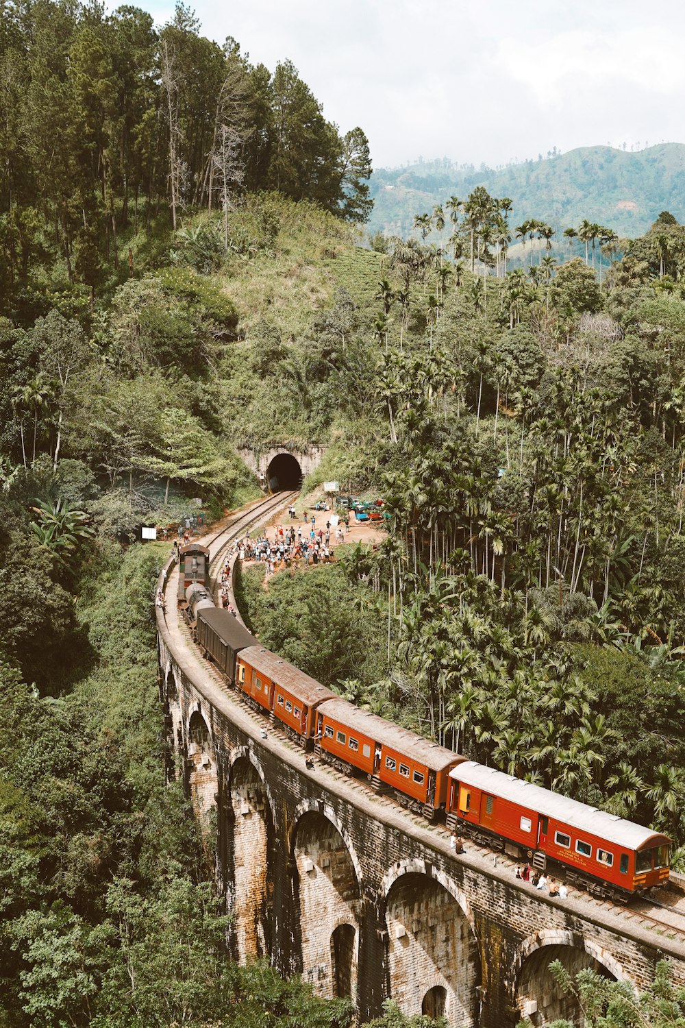 a train traveling over a bridge in the middle of a forest