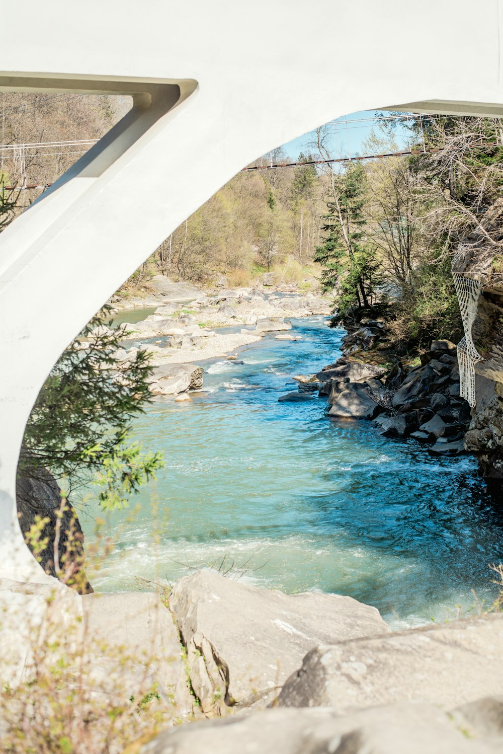 a river flowing under a bridge next to a forest