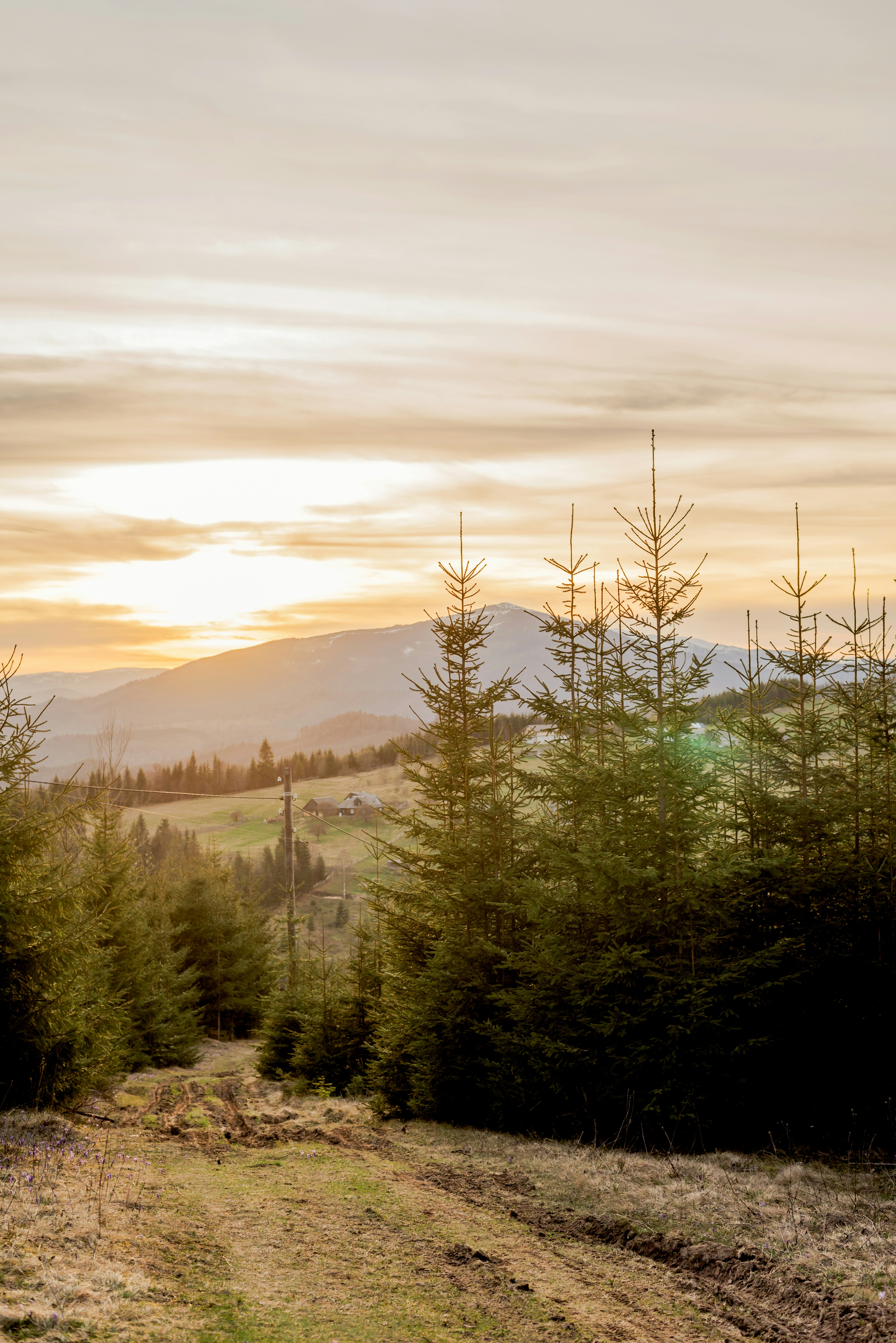 Photo by eugenivy_now