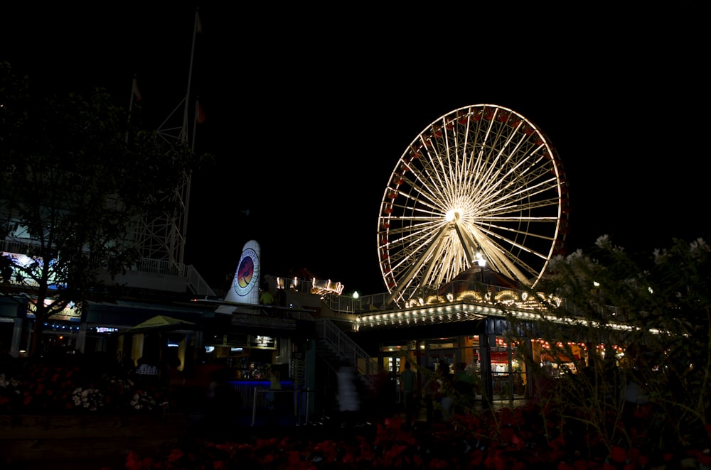 a ferris wheel is lit up at night