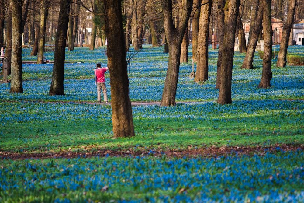 a man standing in the middle of a forest of blue flowers