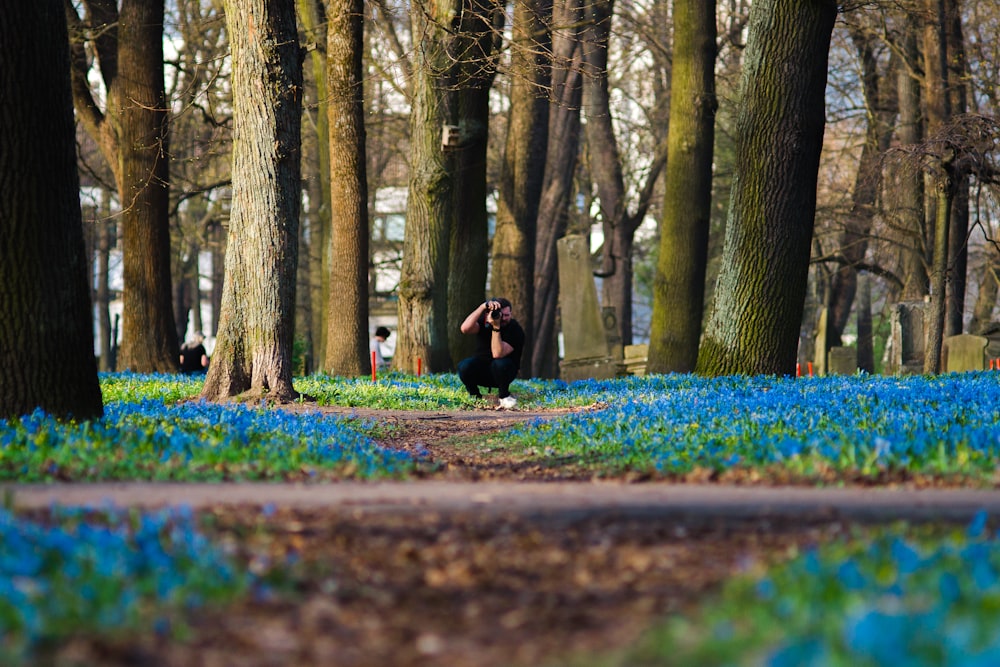 a person taking a picture of bluebells in a park