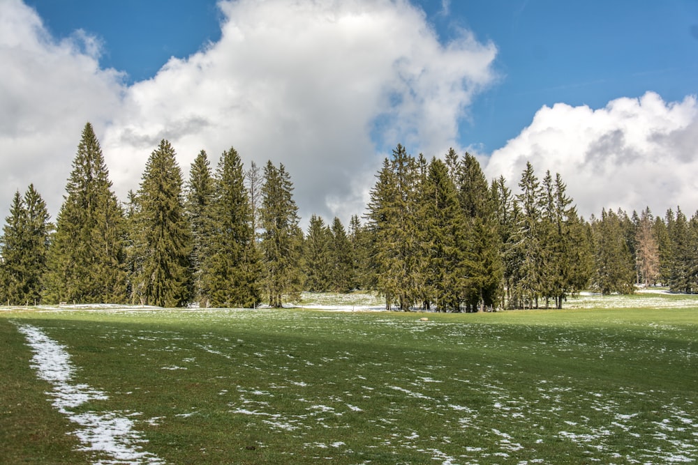 a grassy field with snow on the ground and trees in the background